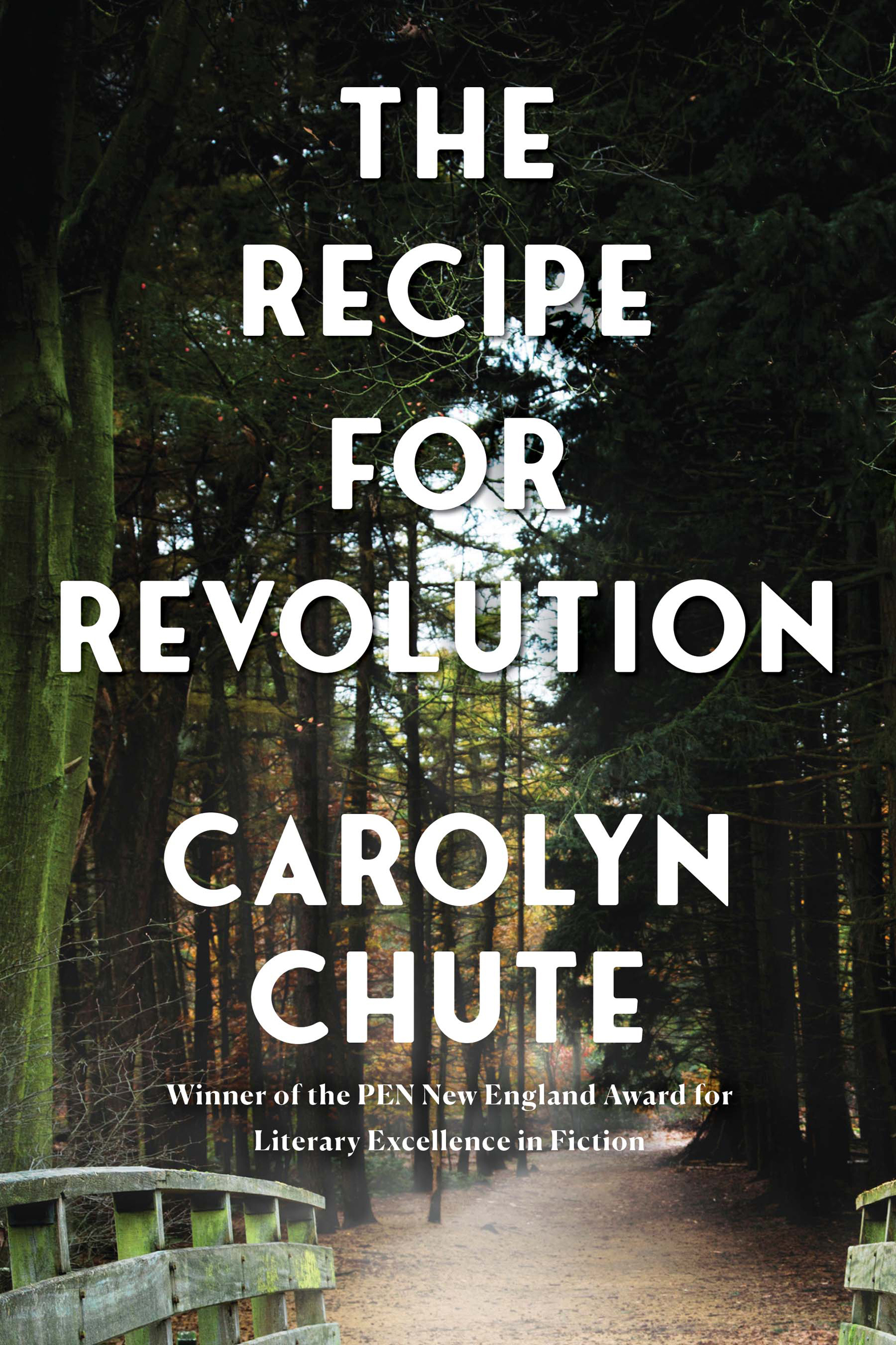 This image is the cover for the book Recipe for Revolution