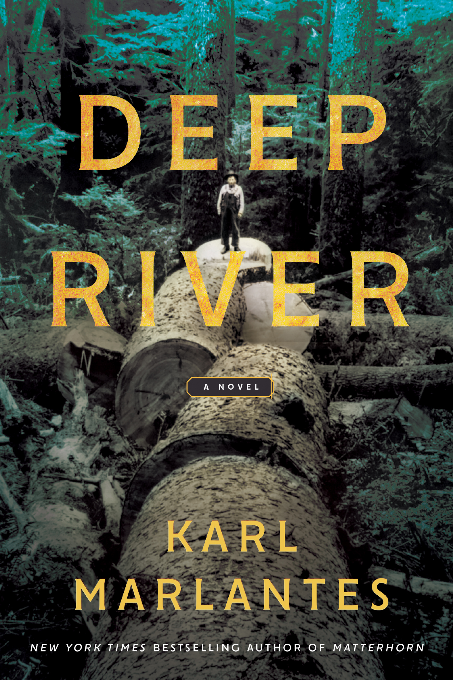 This image is the cover for the book Deep River