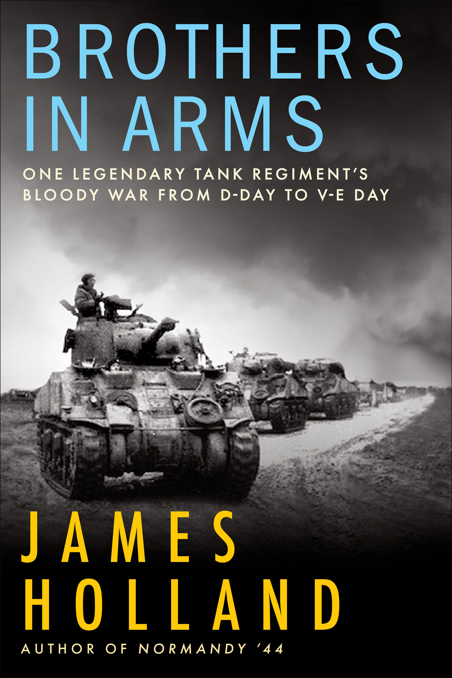 This image is the cover for the book Brothers in Arms