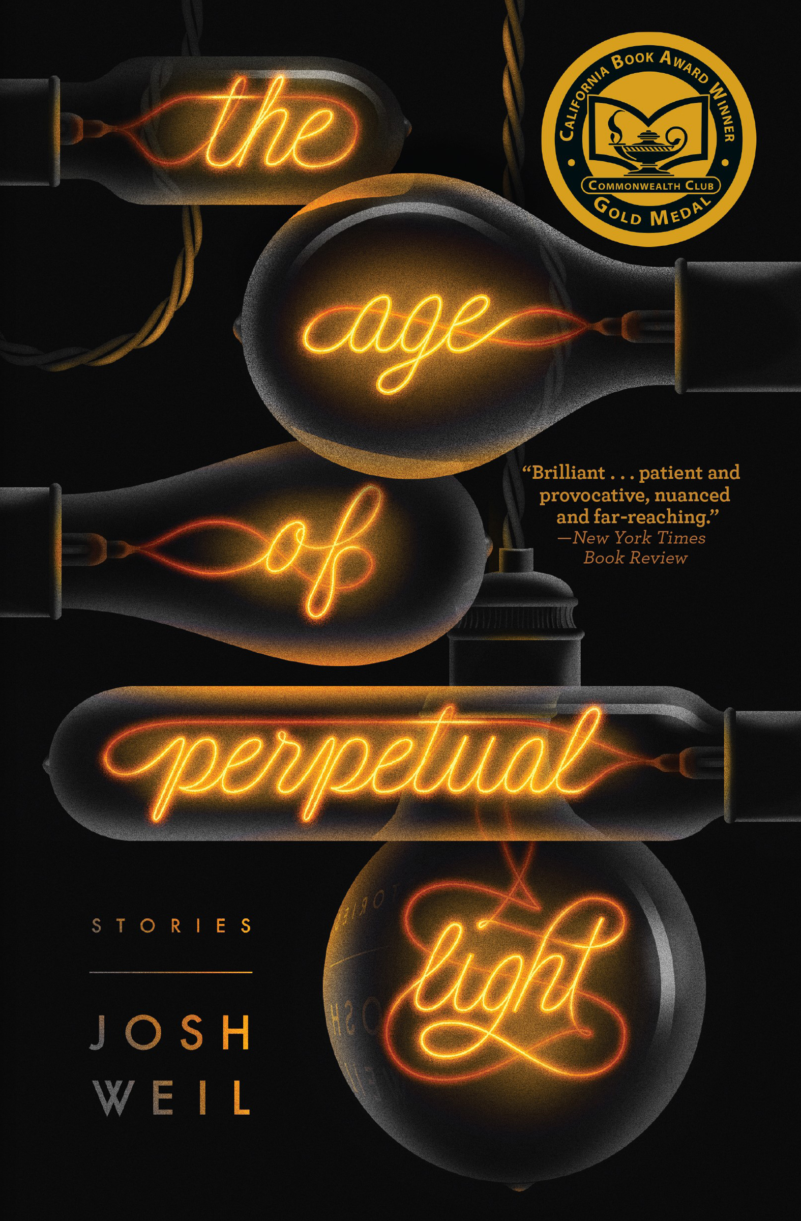 This image is the cover for the book Age of Perpetual Light