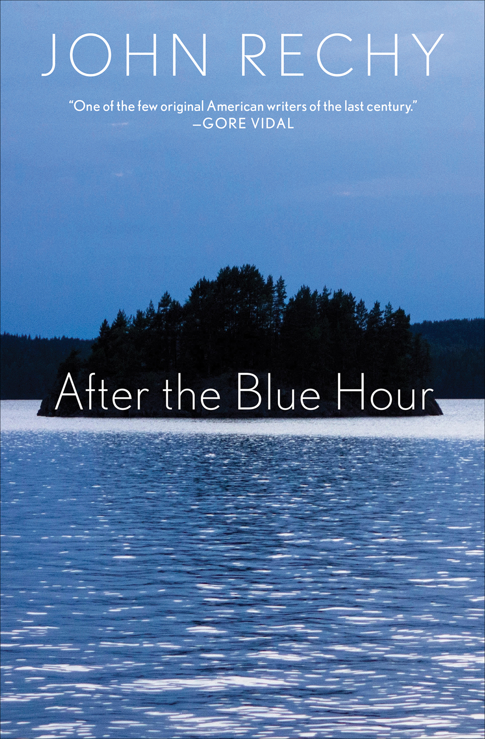 This image is the cover for the book After the Blue Hour