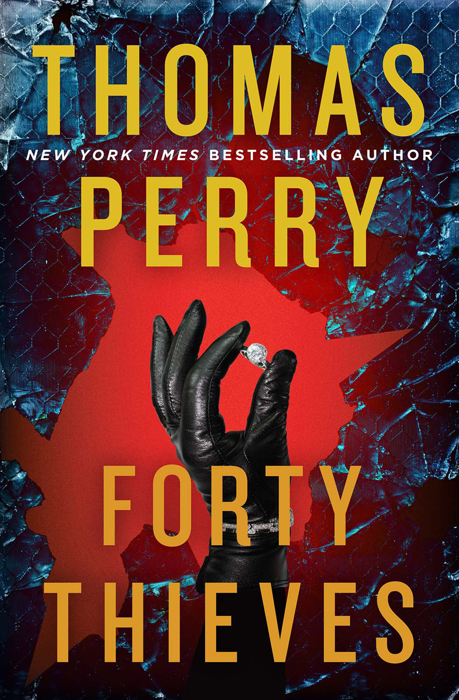 This image is the cover for the book Forty Thieves