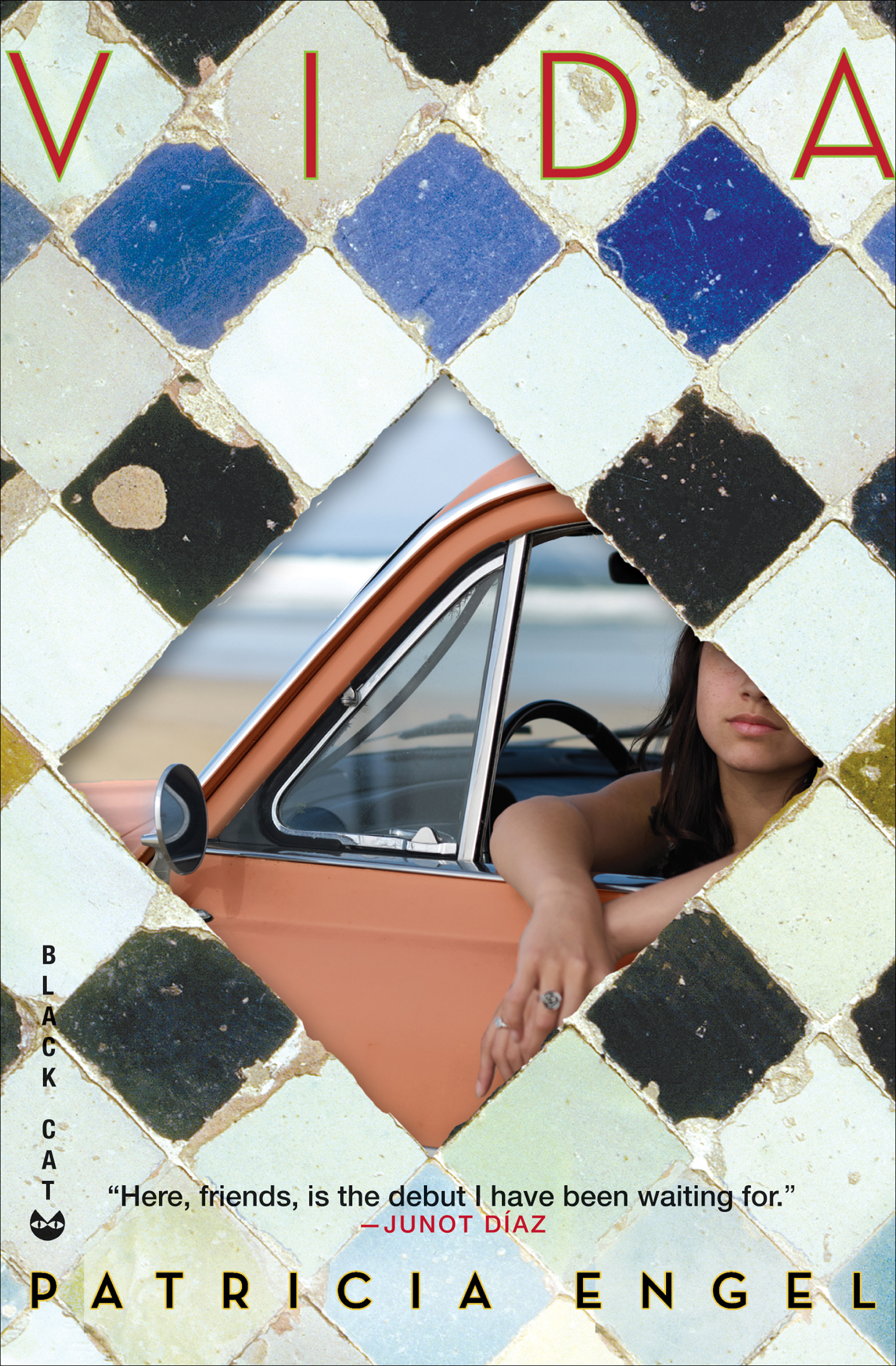 This image is the cover for the book Vida