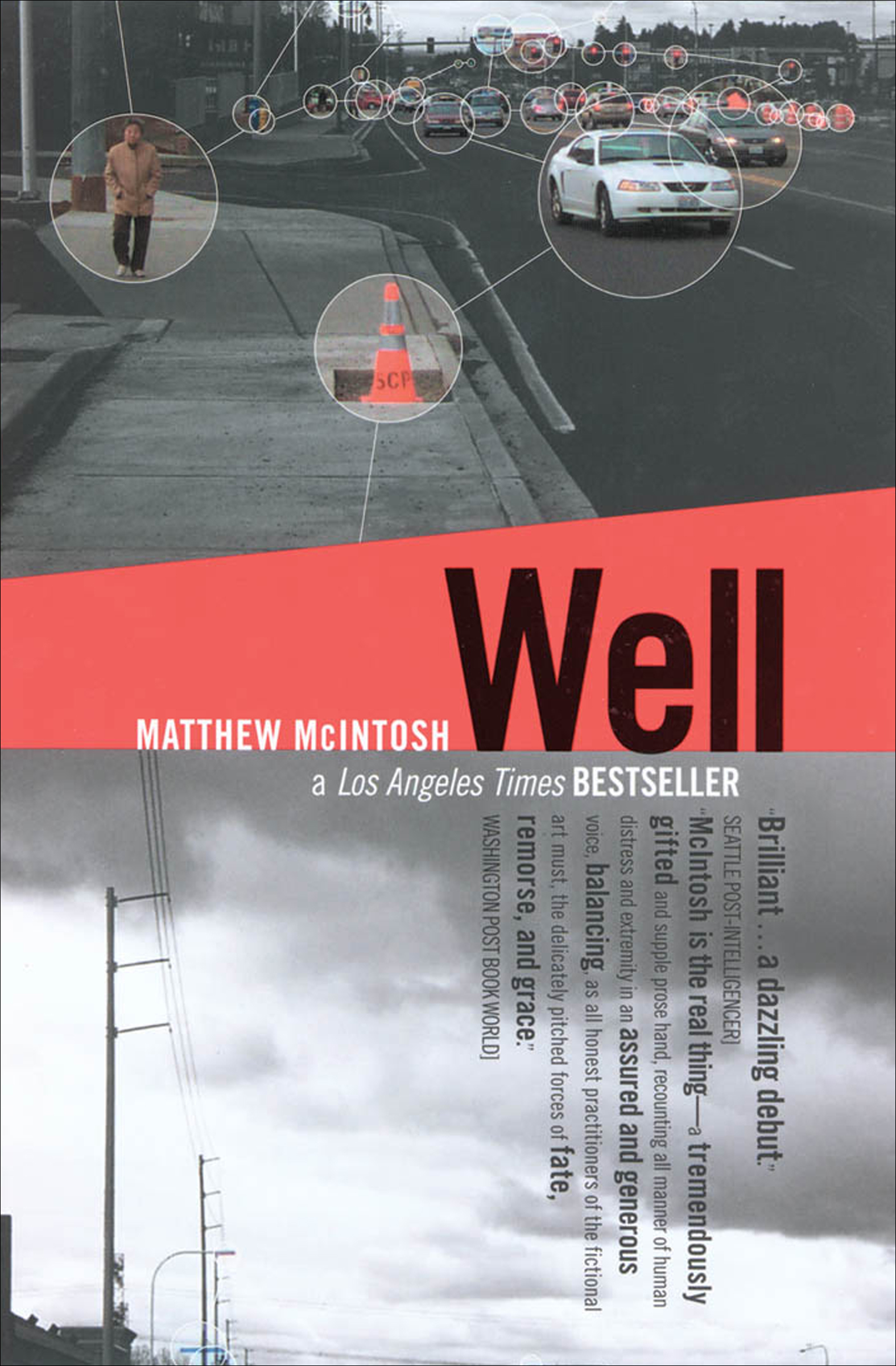 This image is the cover for the book Well