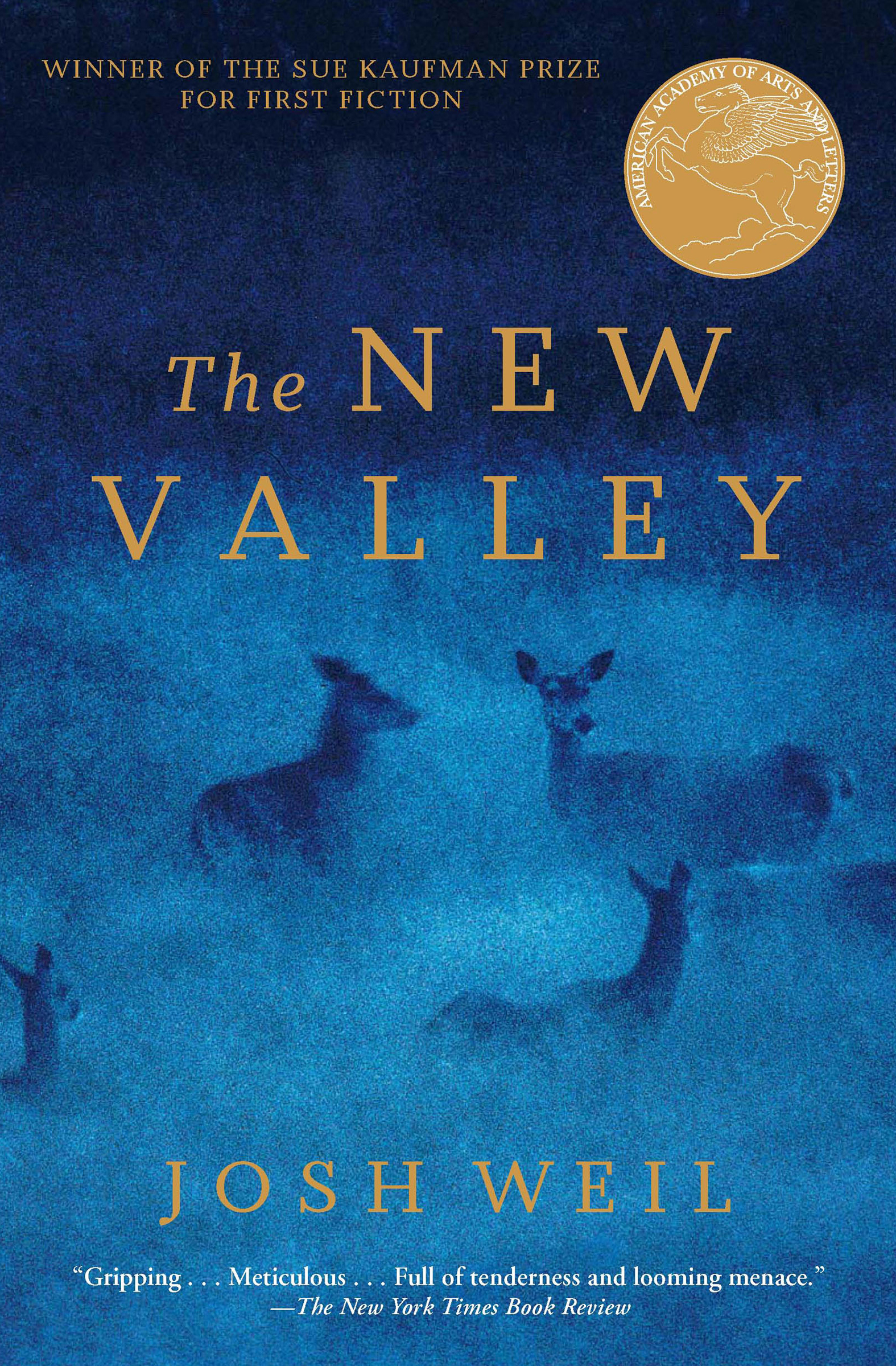 This image is the cover for the book New Valley