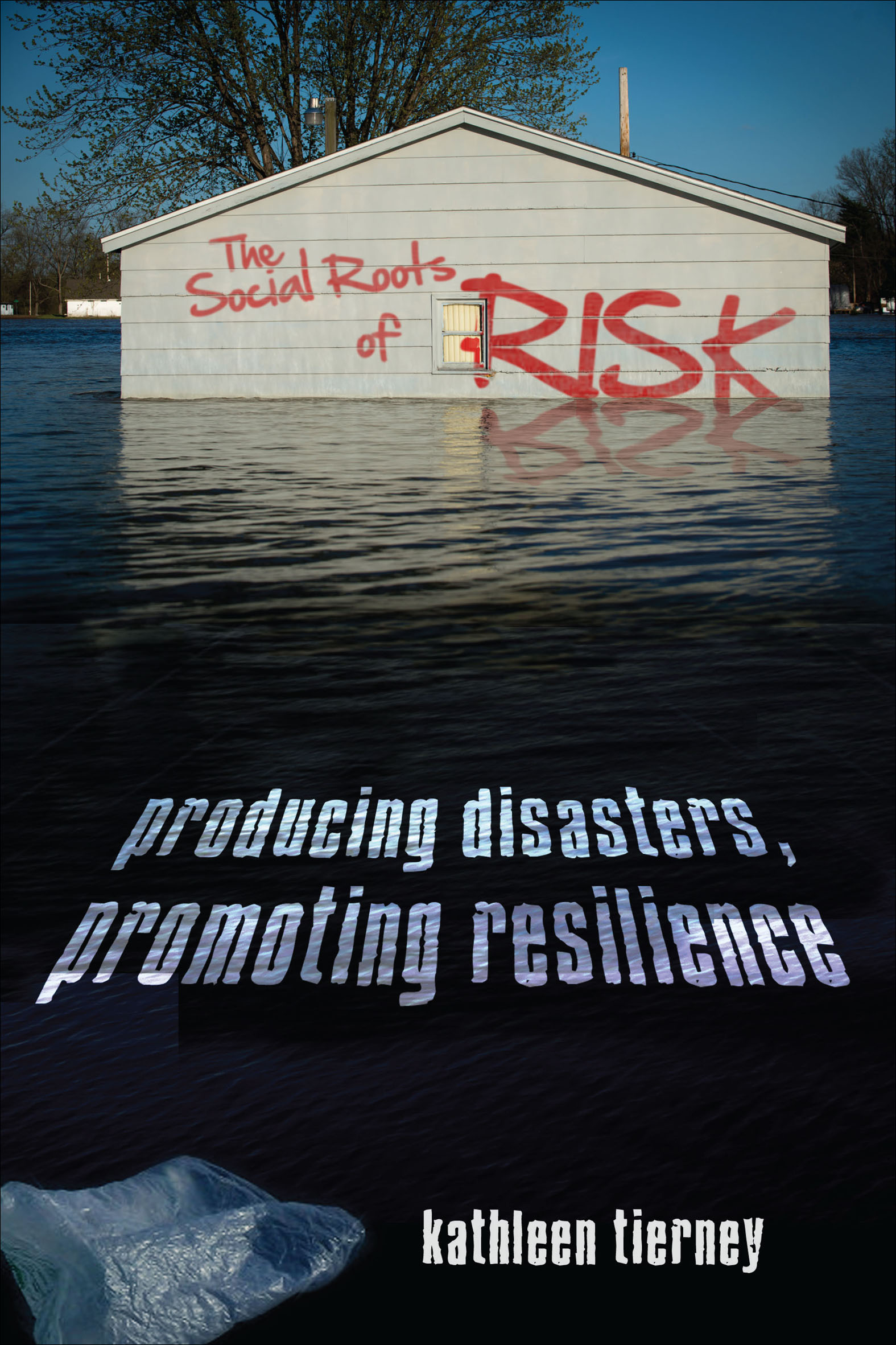 This image is the cover for the book Social Roots of Risk, High Reliability and Crisis Management