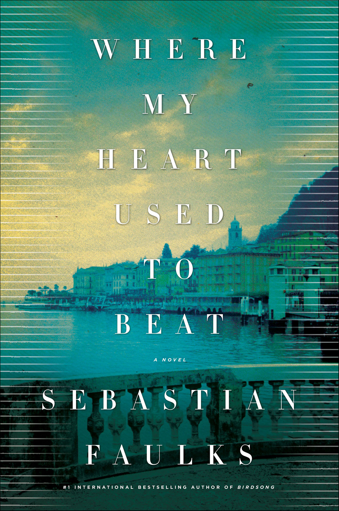 This image is the cover for the book Where My Heart Used to Beat