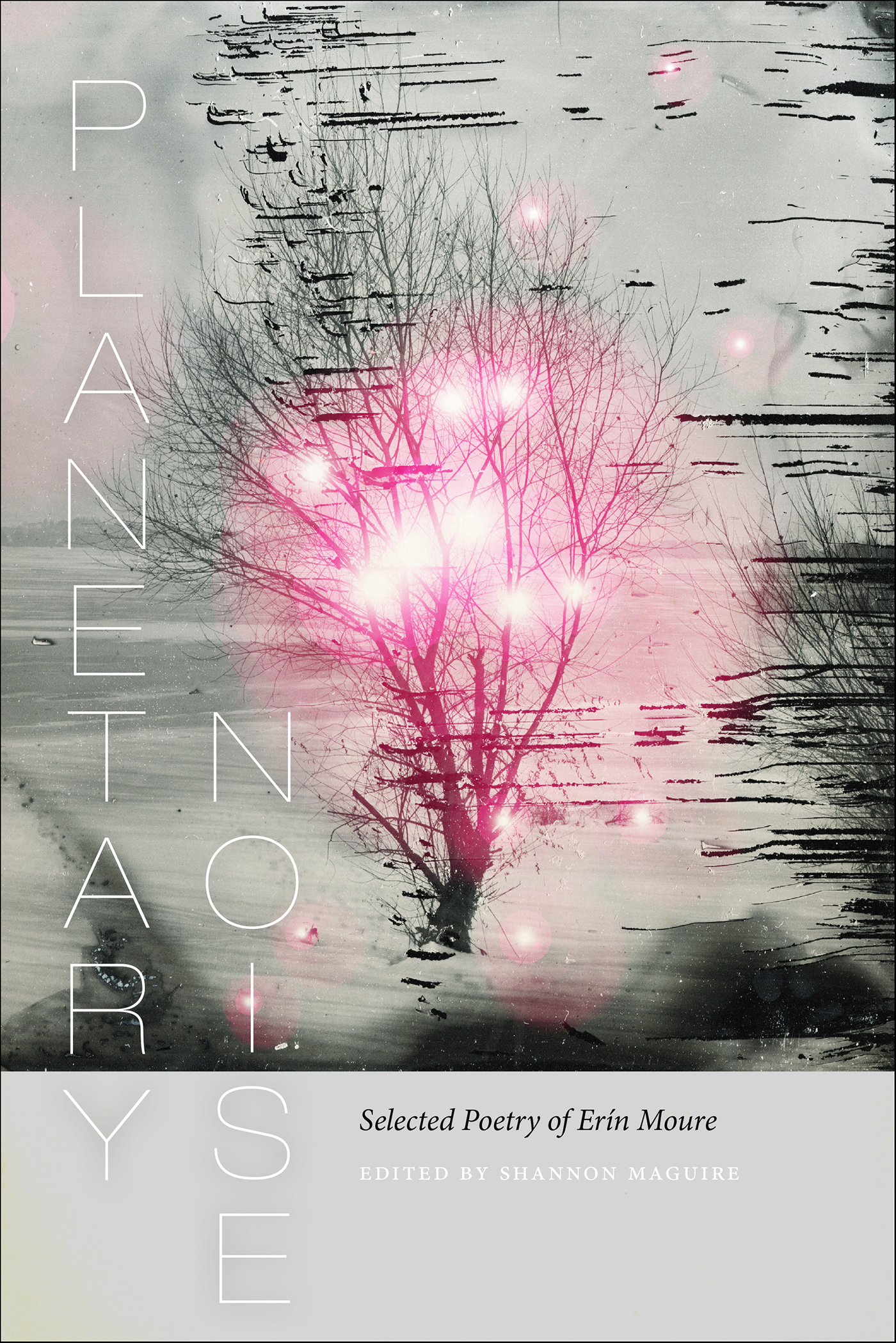 This image is the cover for the book Planetary Noise, Wesleyan Poetry Series
