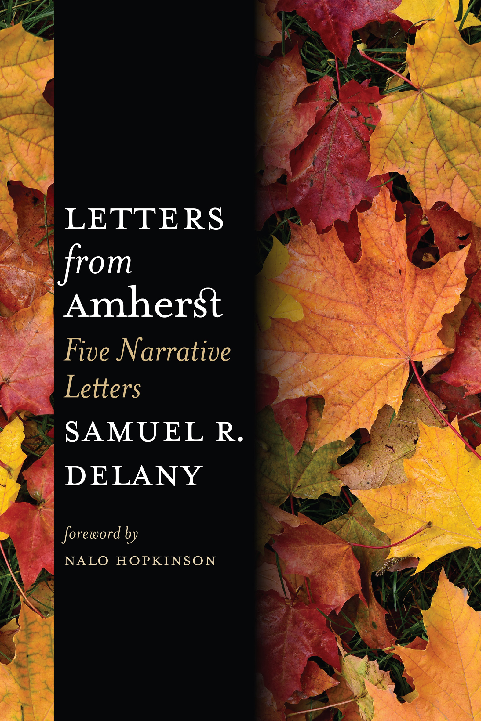 This image is the cover for the book Letters from Amherst