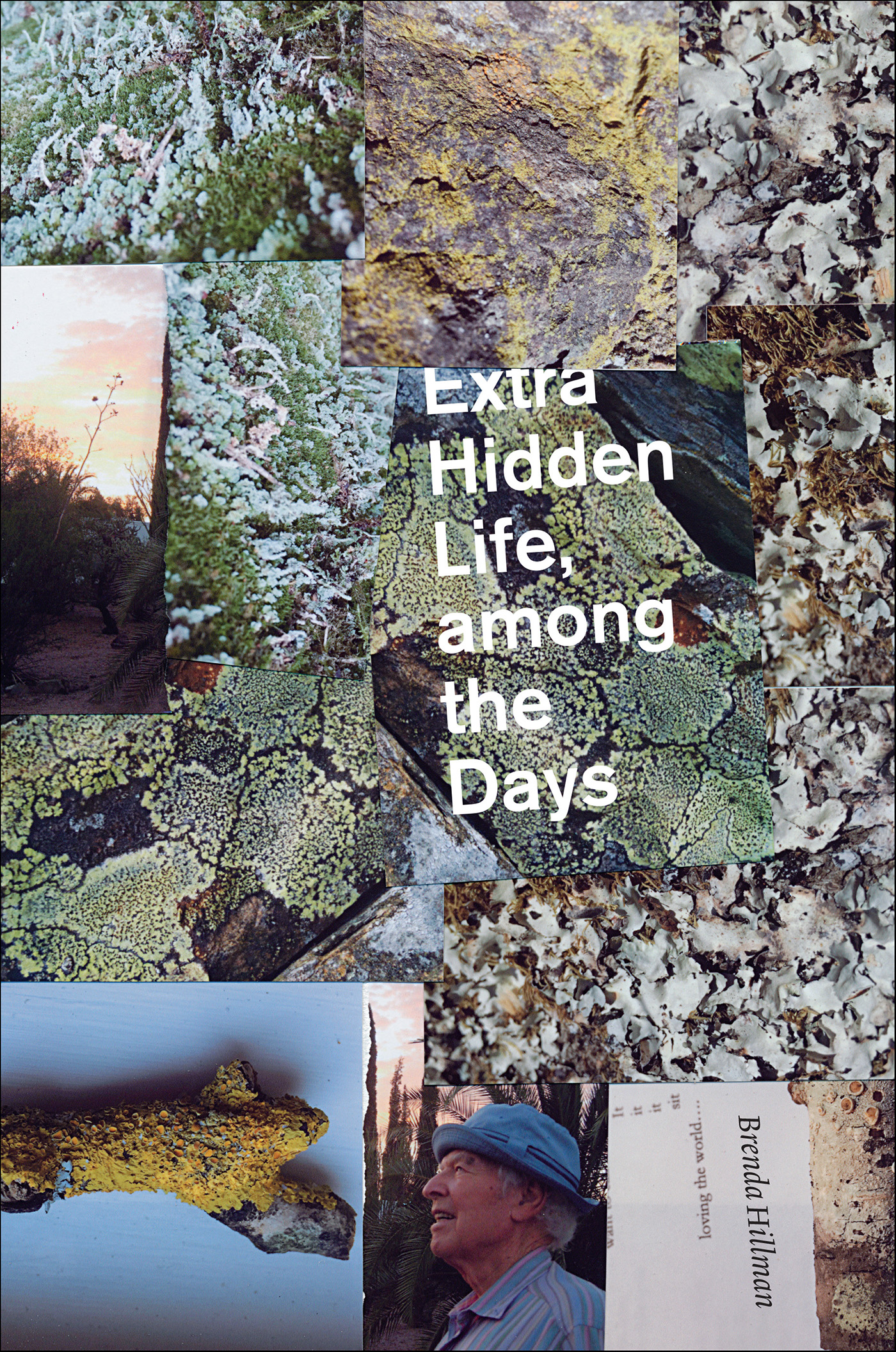 This image is the cover for the book Extra Hidden Life, among the Days, Wesleyan Poetry Series