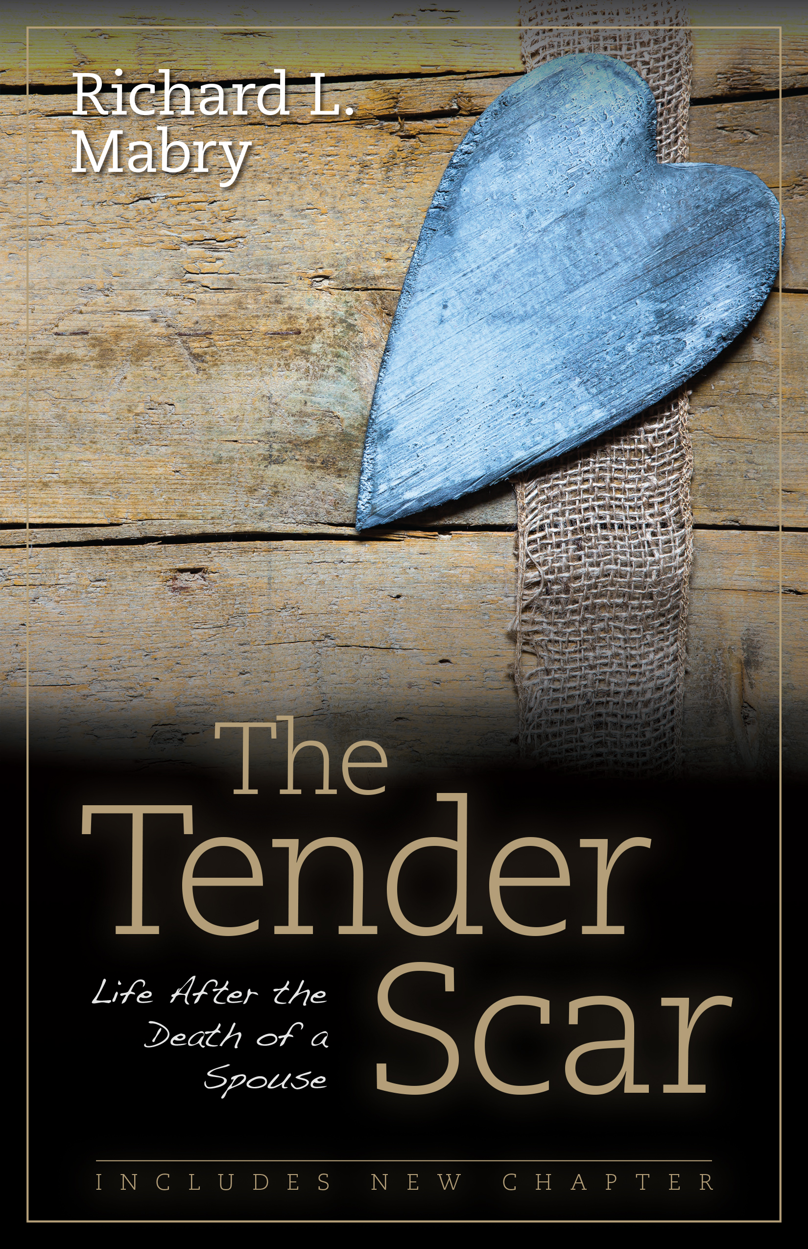 This image is the cover for the book The Tender Scar