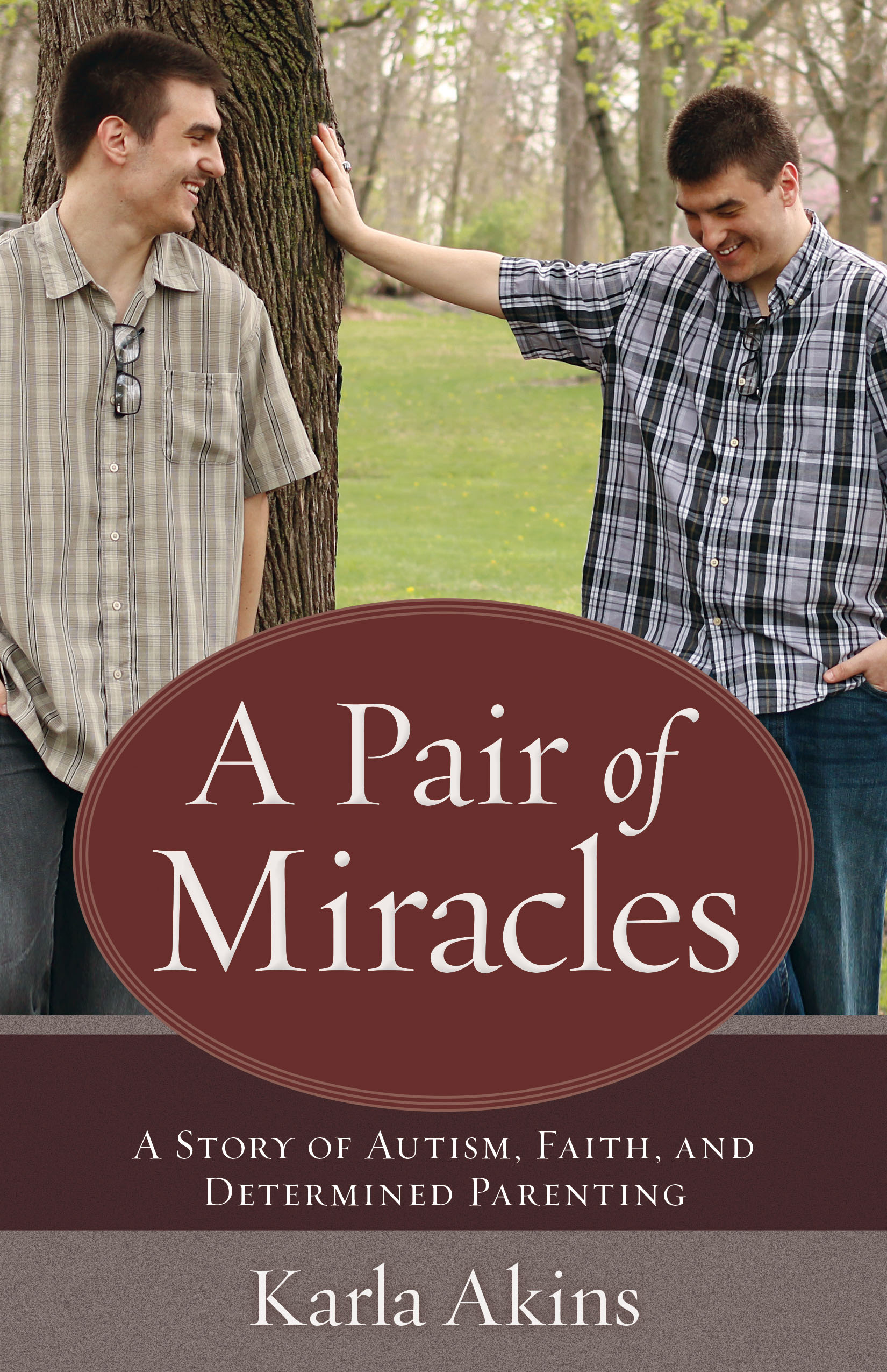 This image is the cover for the book Pair of Miracles, A