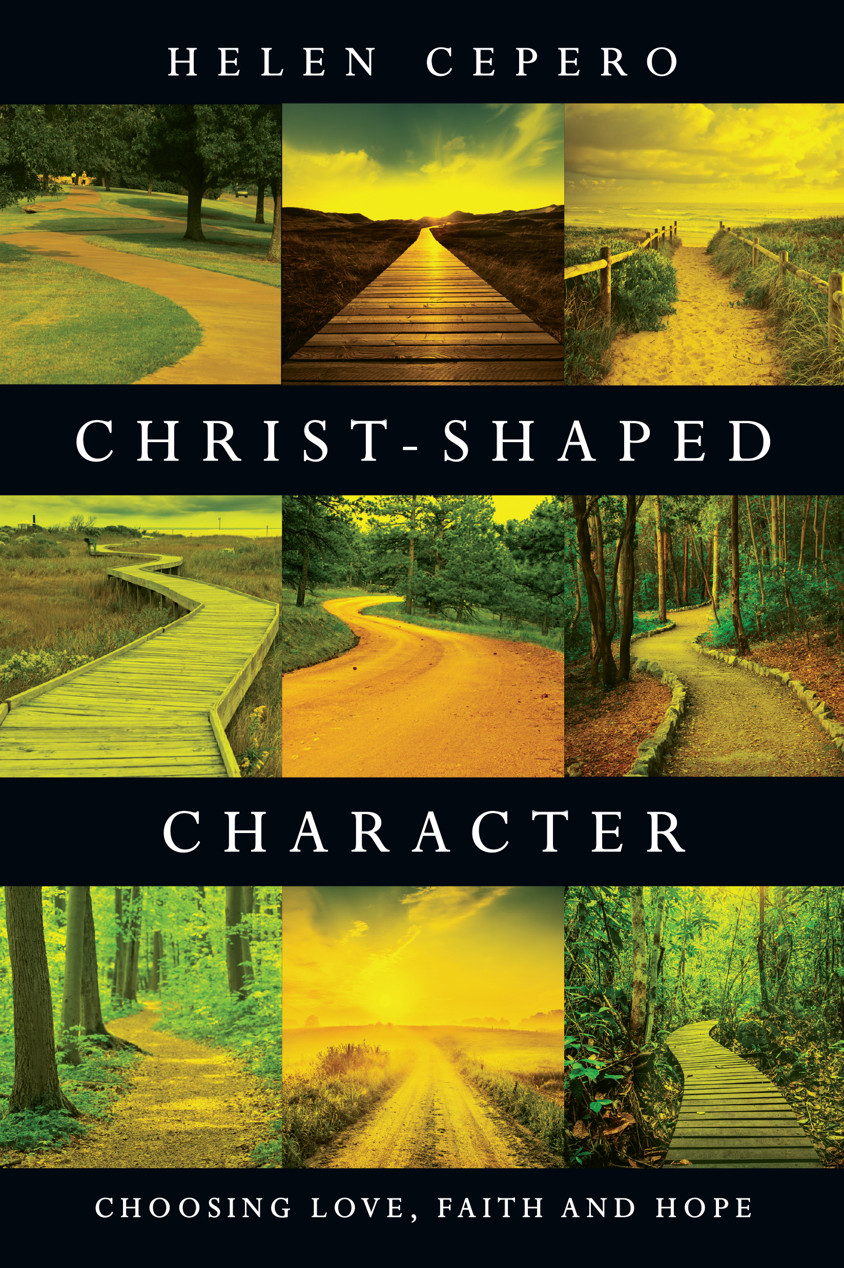 This image is the cover for the book Christ-Shaped Character