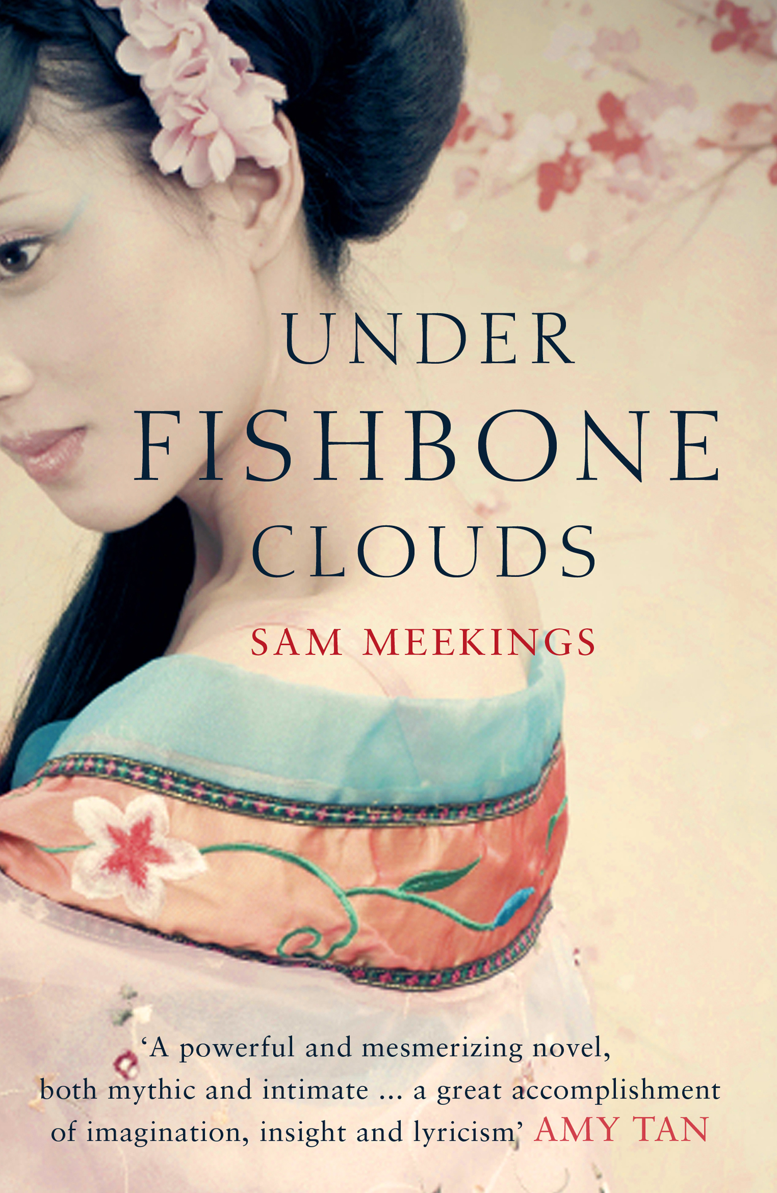 This image is the cover for the book Under Fishbone Clouds