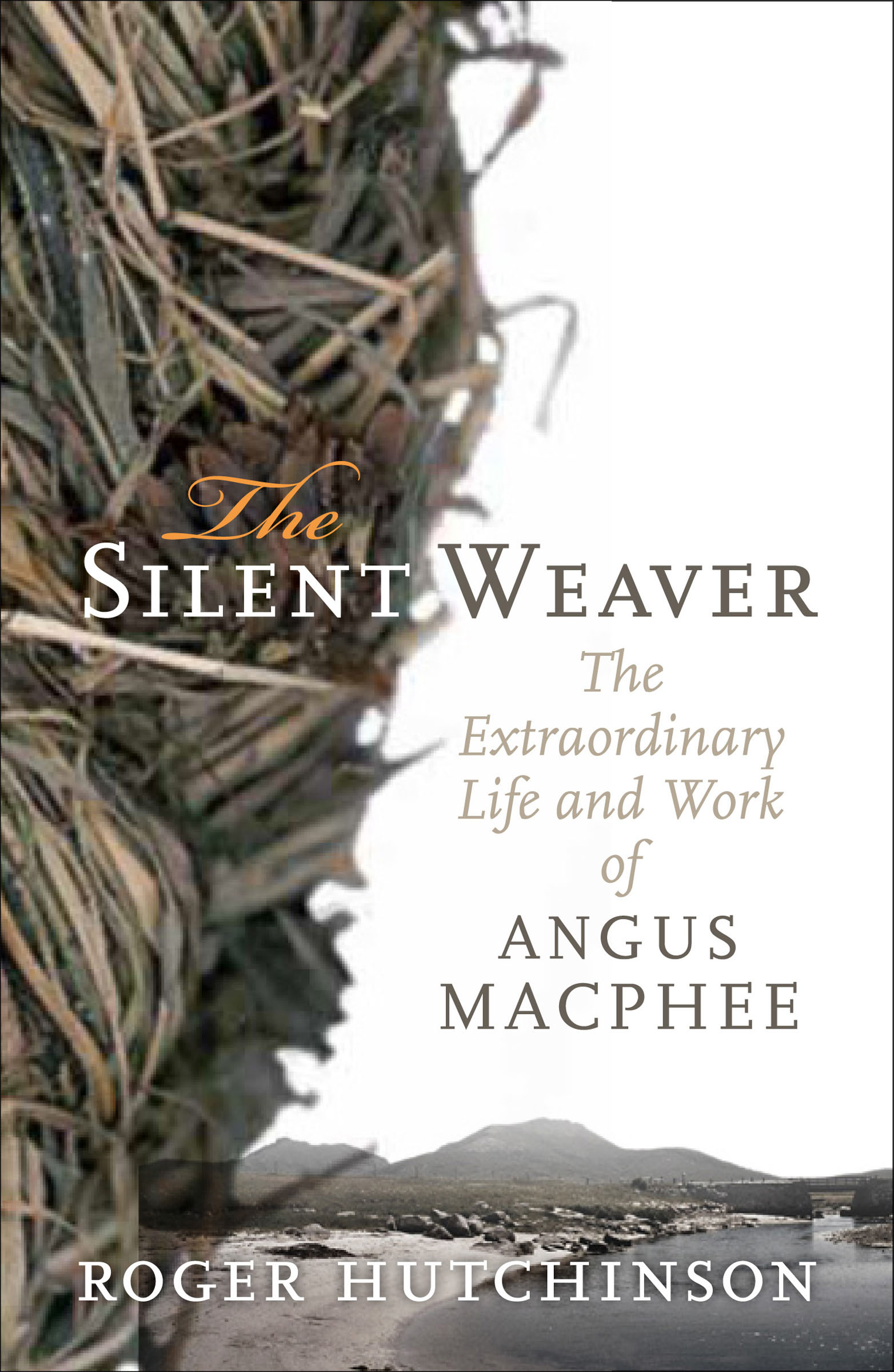 This image is the cover for the book Silent Weaver
