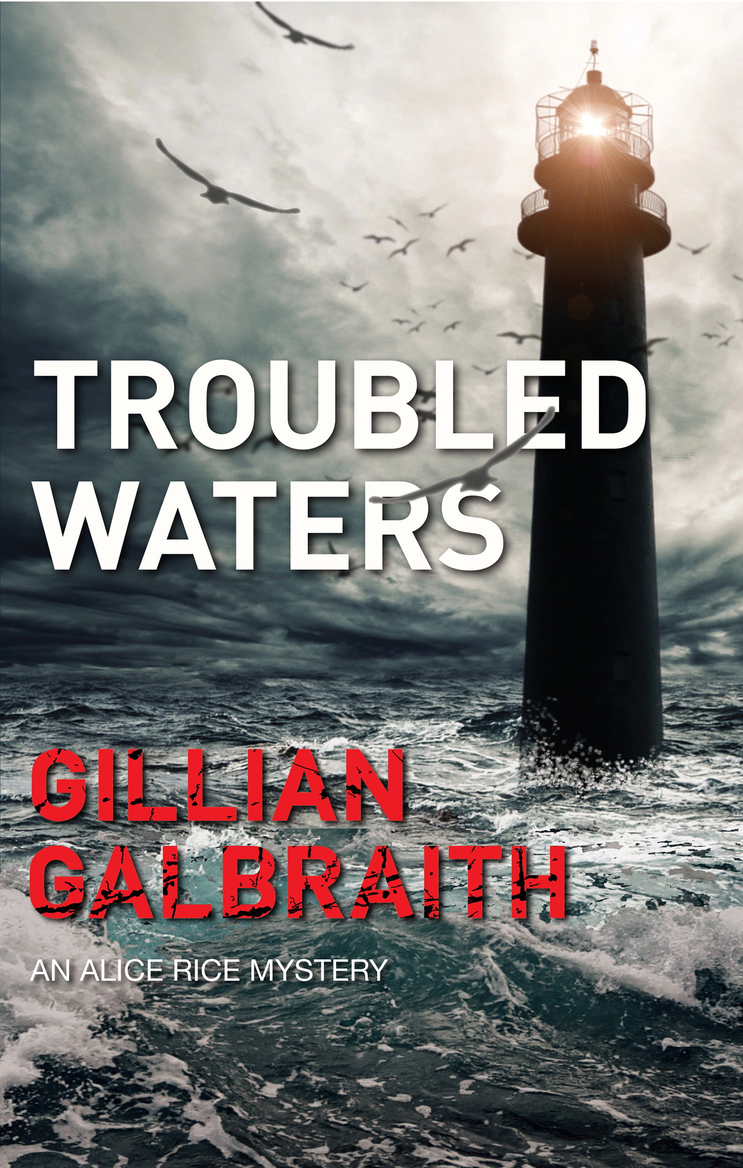 This image is the cover for the book Troubled Waters, The Alice Rice Mysteries