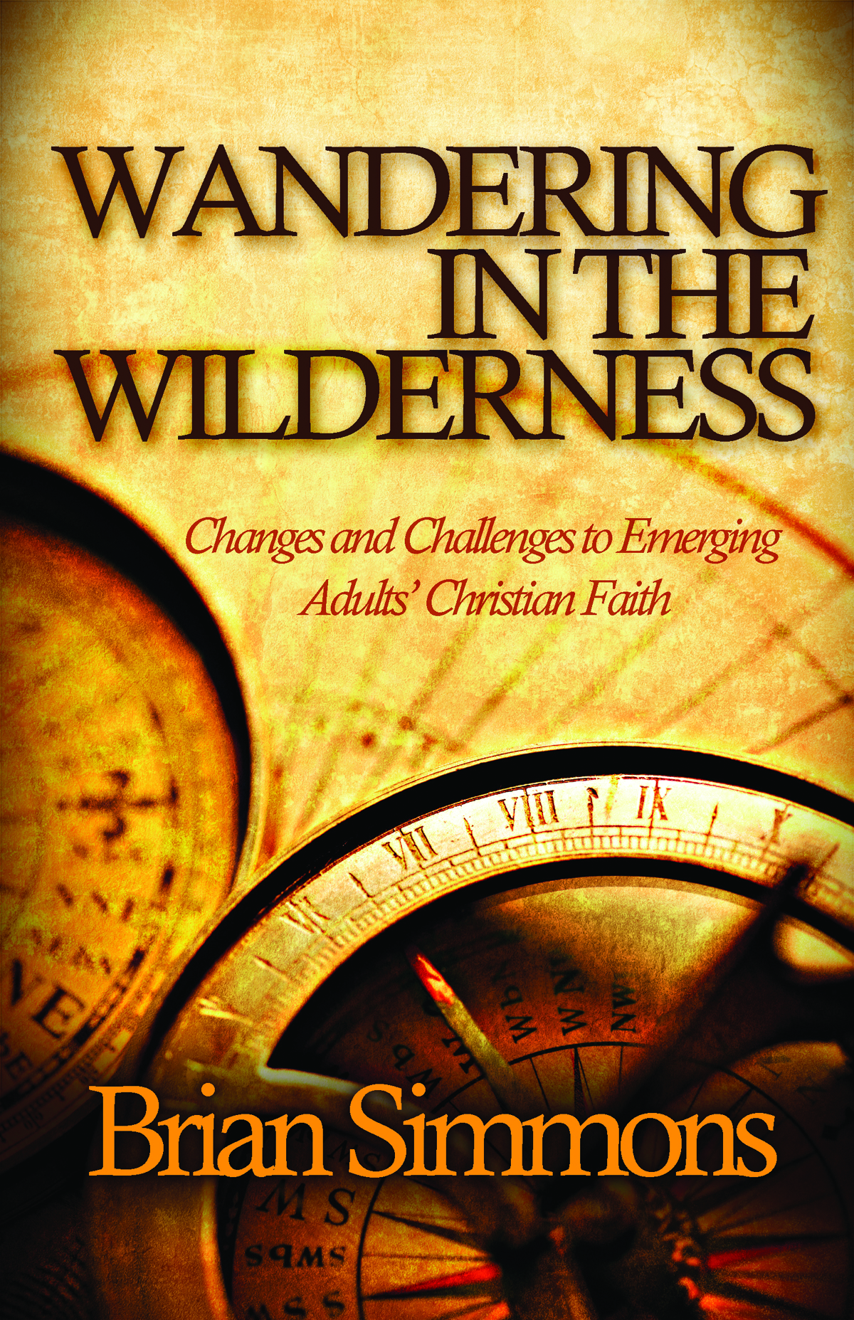 This image is the cover for the book Wandering in the Wilderness