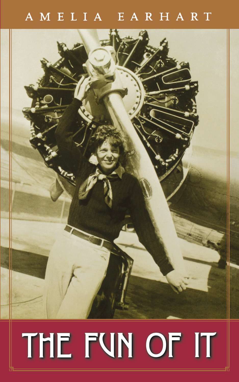 This image is the cover for the book Fun of It