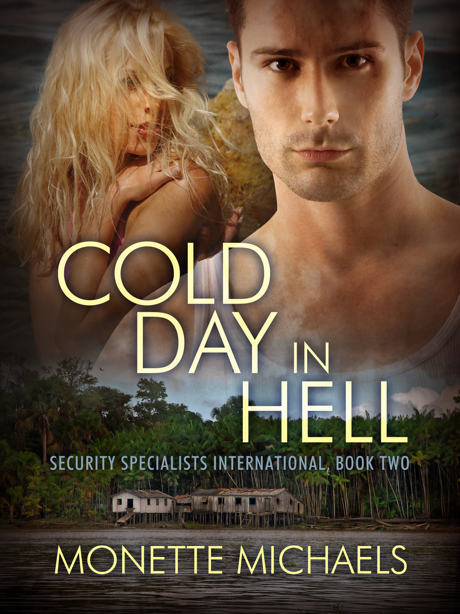 This image is the cover for the book Cold Day in Hell, Security Specialists International