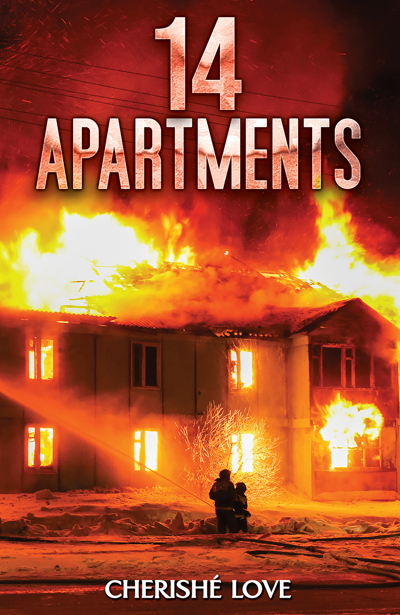 This image is the cover for the book 14 Apartments
