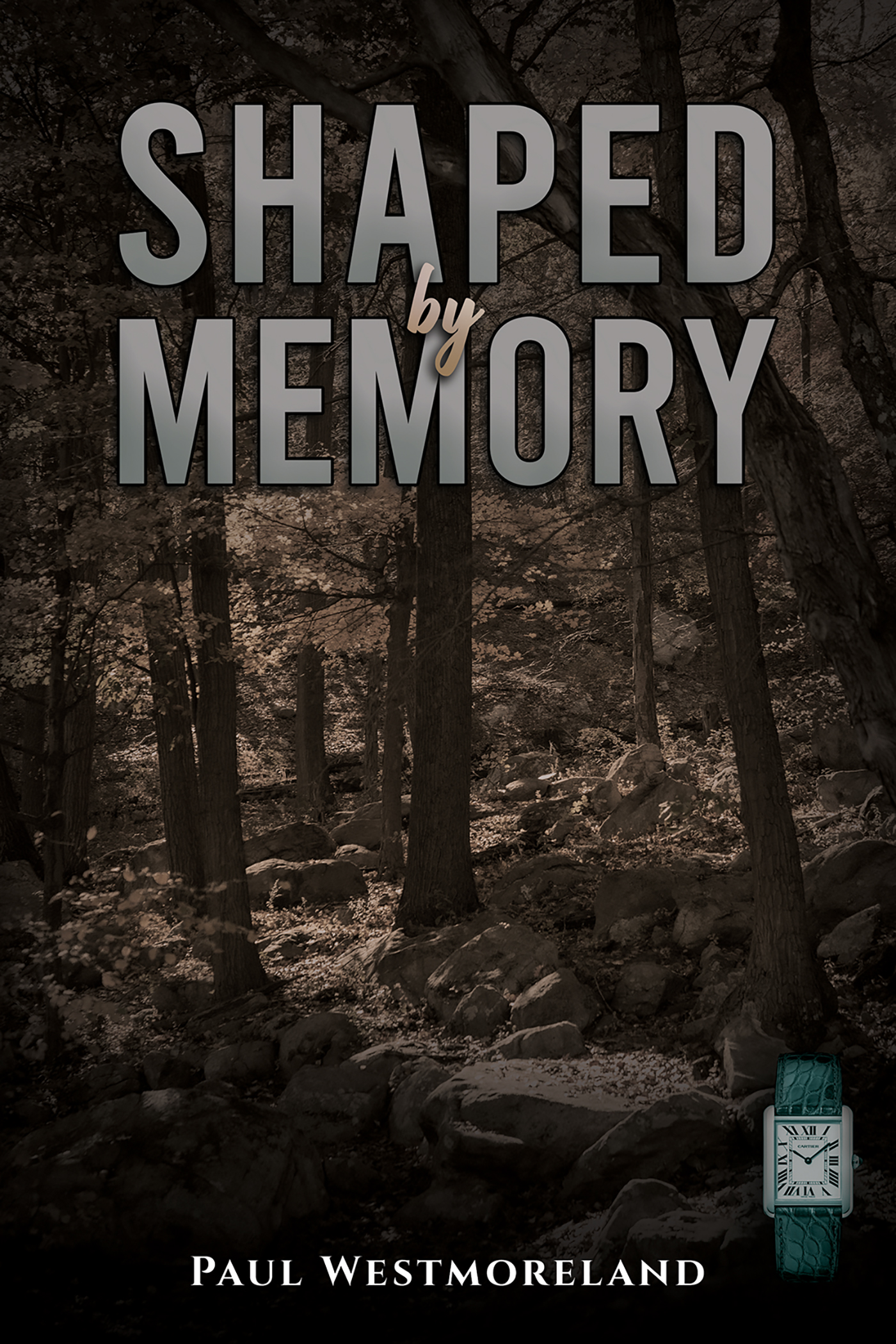 This image is the cover for the book Shaped by Memory