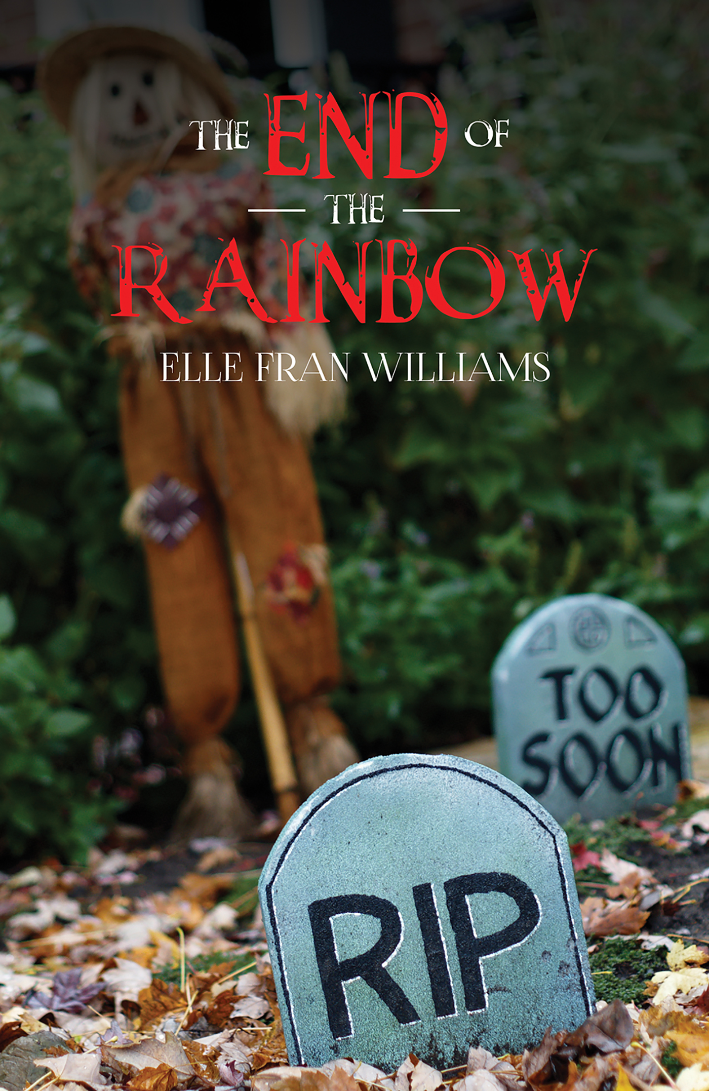 This image is the cover for the book The End of the Rainbow