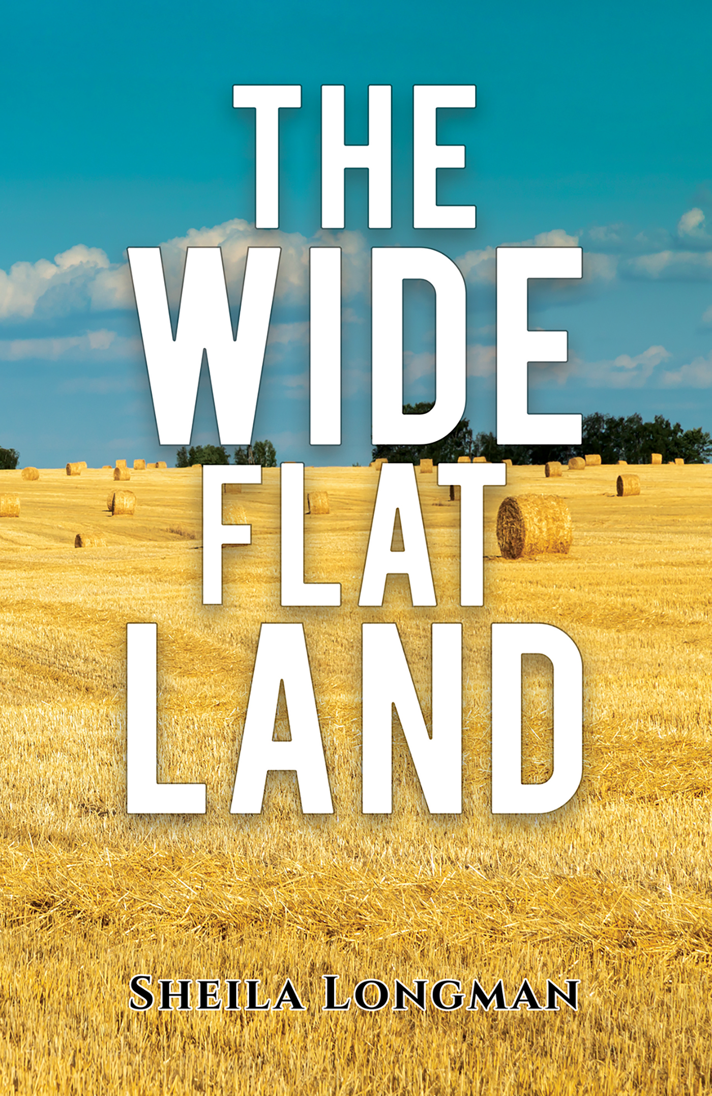 This image is the cover for the book The Wide, Flat Land