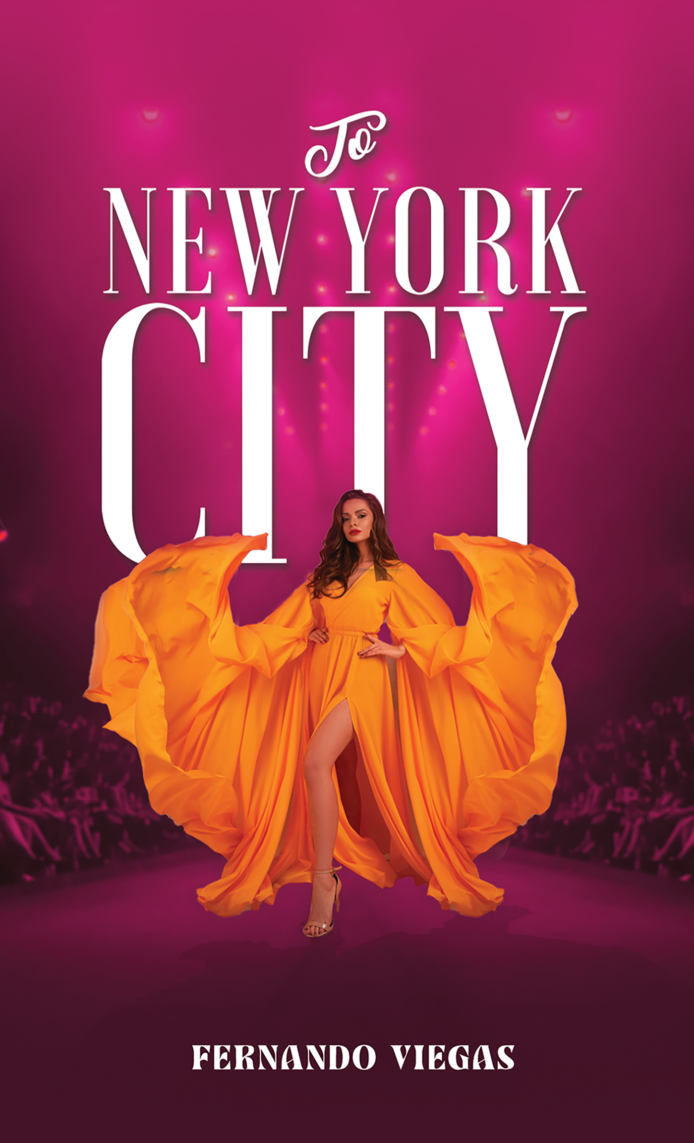 This image is the cover for the book To New York City