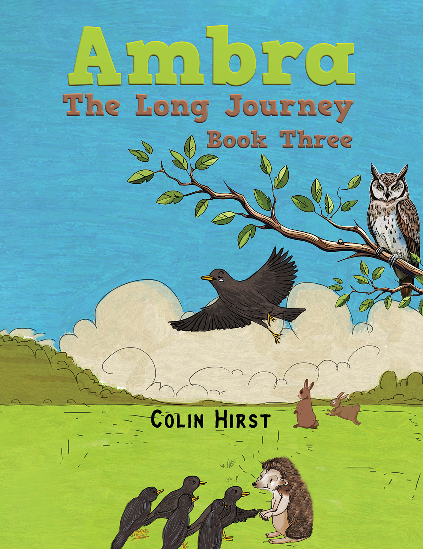 This image is the cover for the book Ambra: The Long Journey