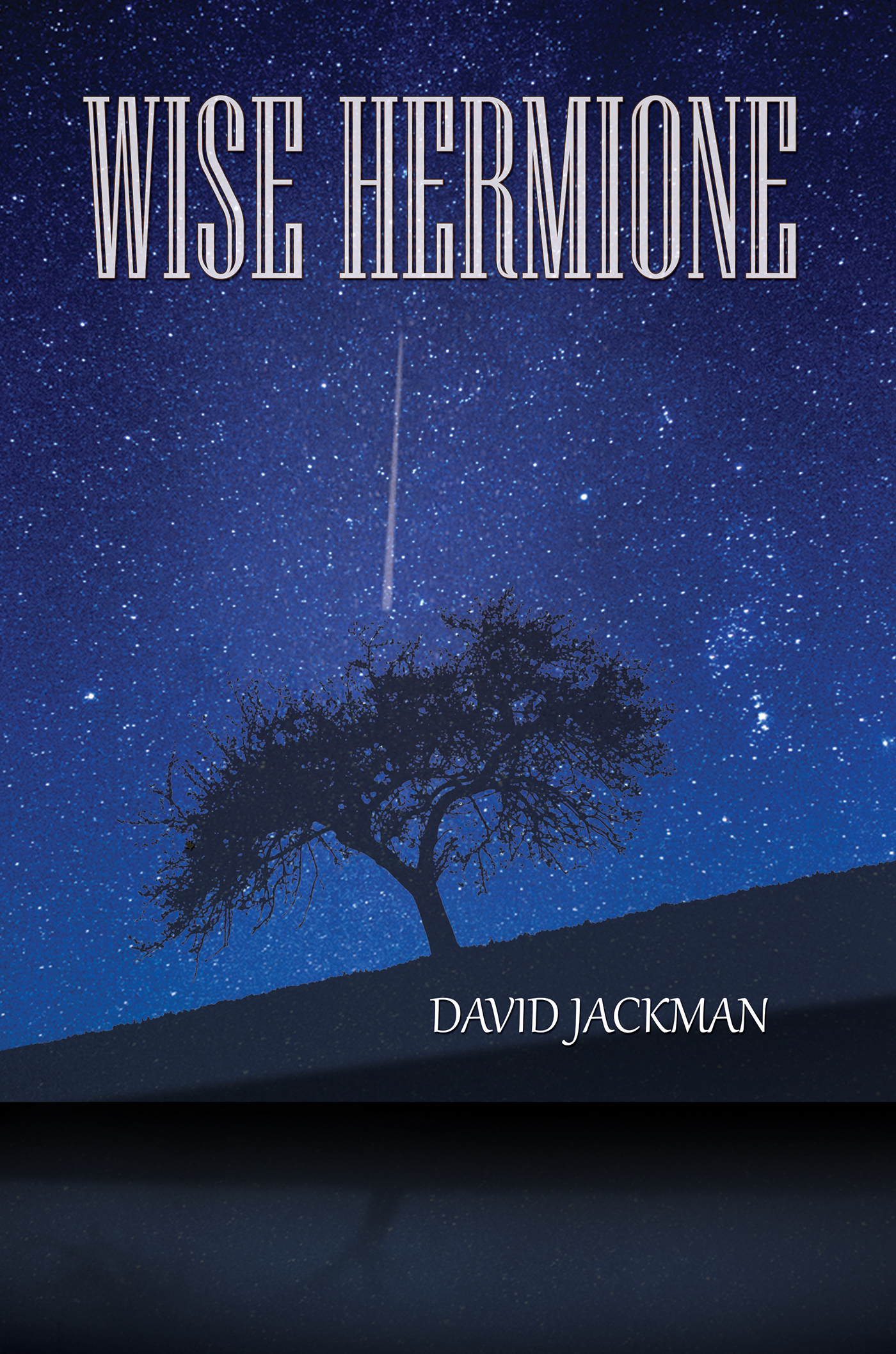 This image is the cover for the book Wise Hermione