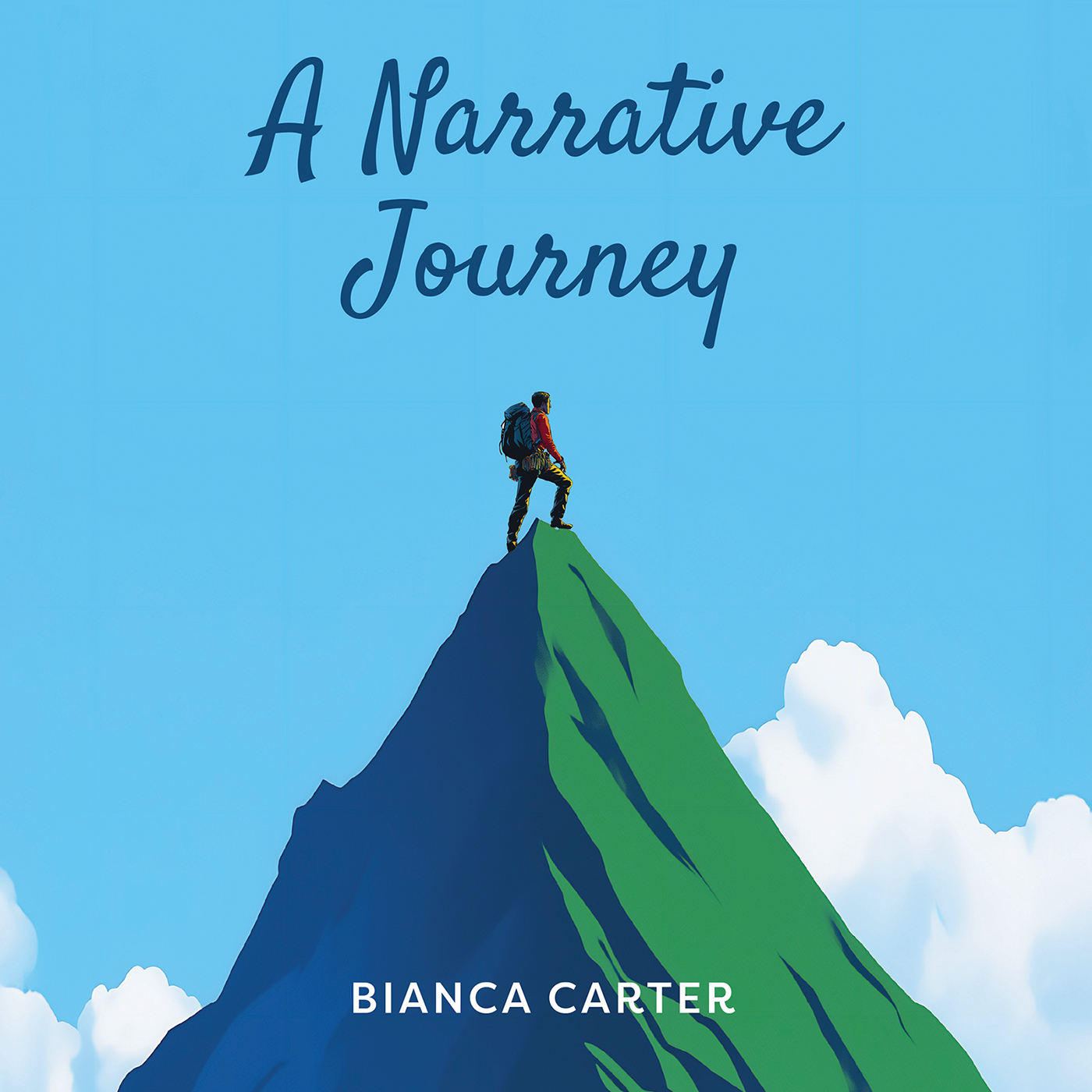 This image is the cover for the book A Narrative Journey