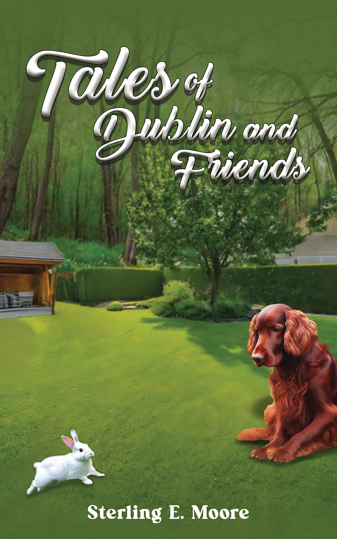 This image is the cover for the book Tales of Dublin and Friends