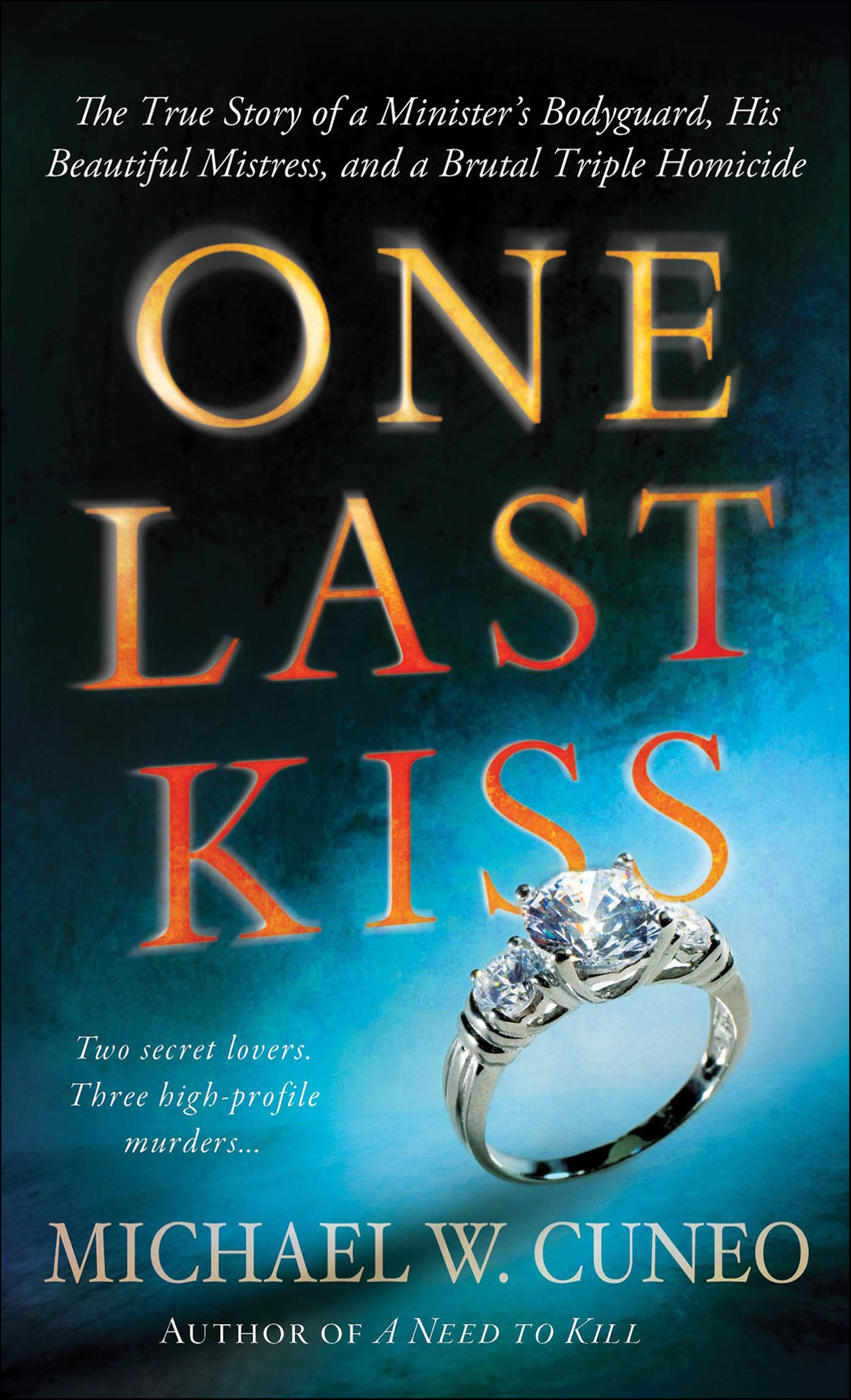 This image is the cover for the book One Last Kiss