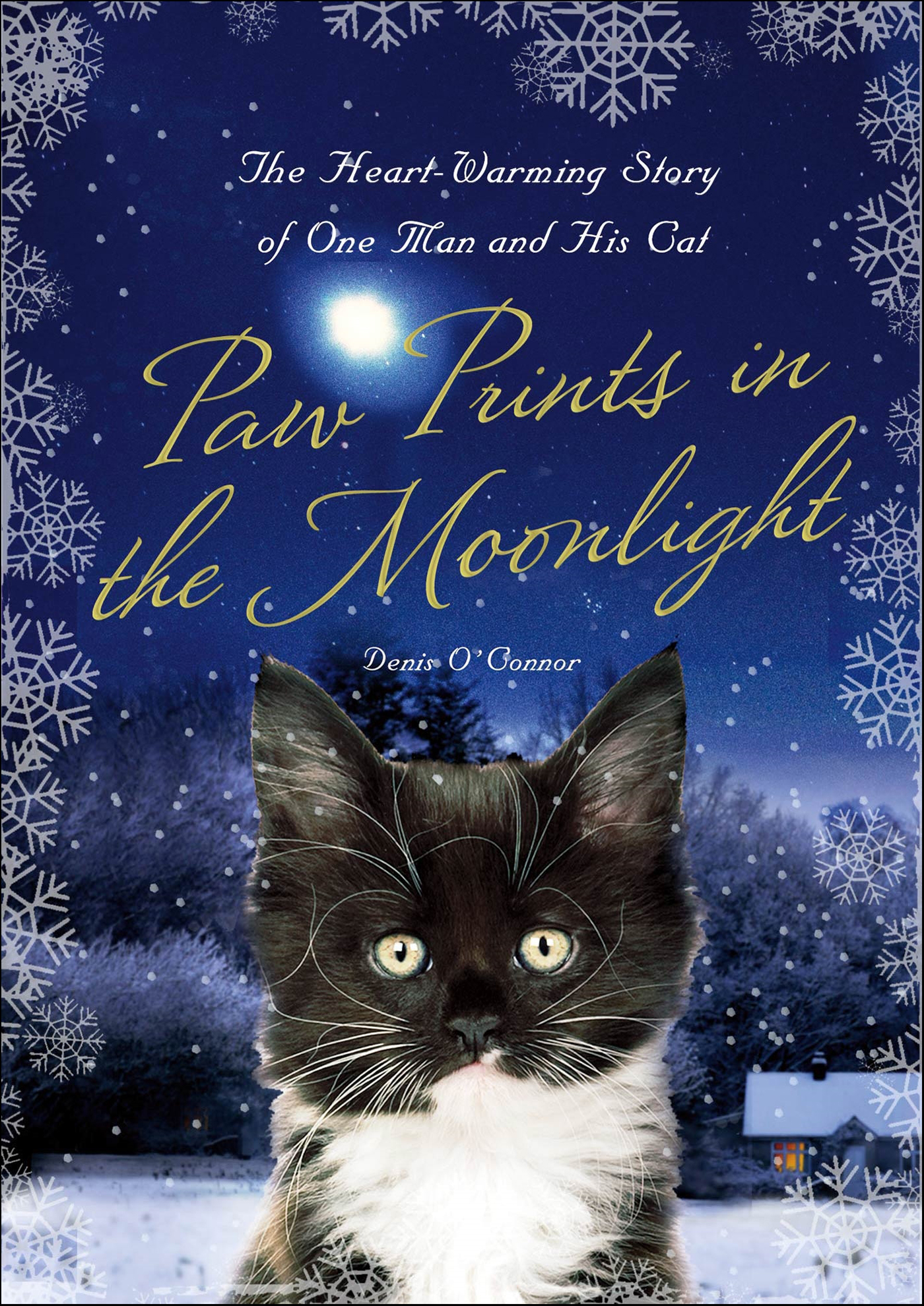 This image is the cover for the book Paw Prints in the Moonlight