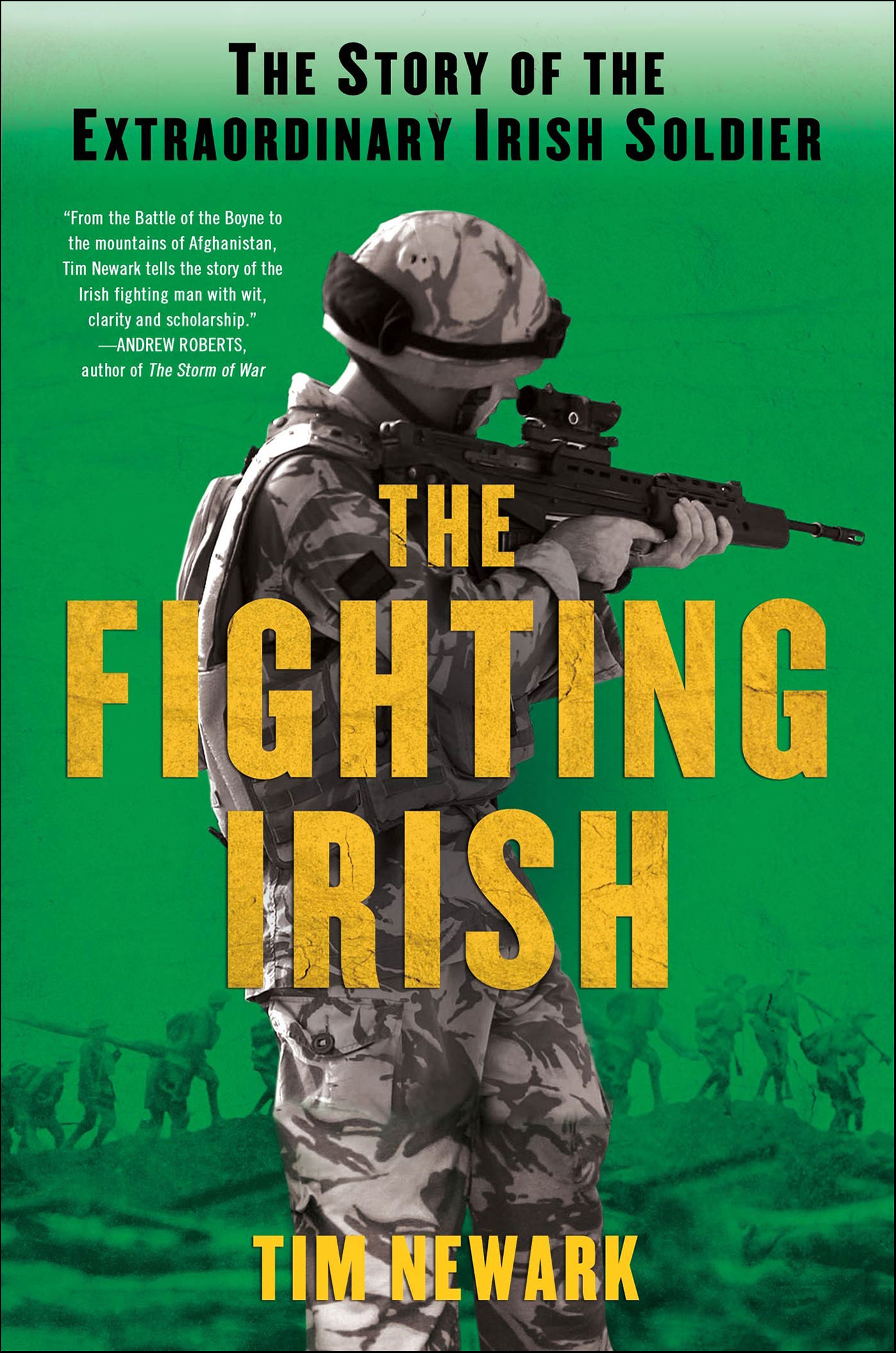 This image is the cover for the book Fighting Irish