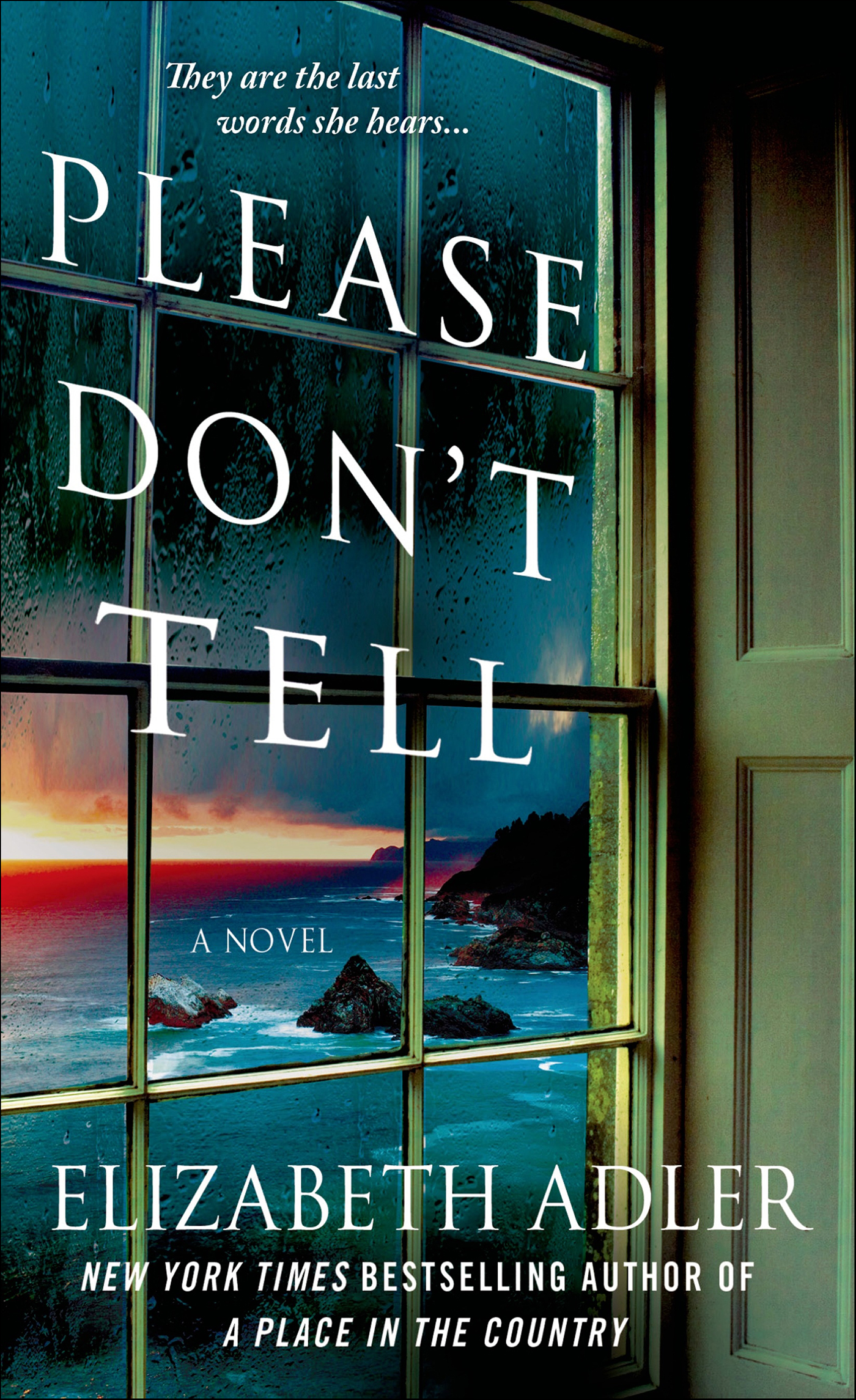 This image is the cover for the book Please Don't Tell
