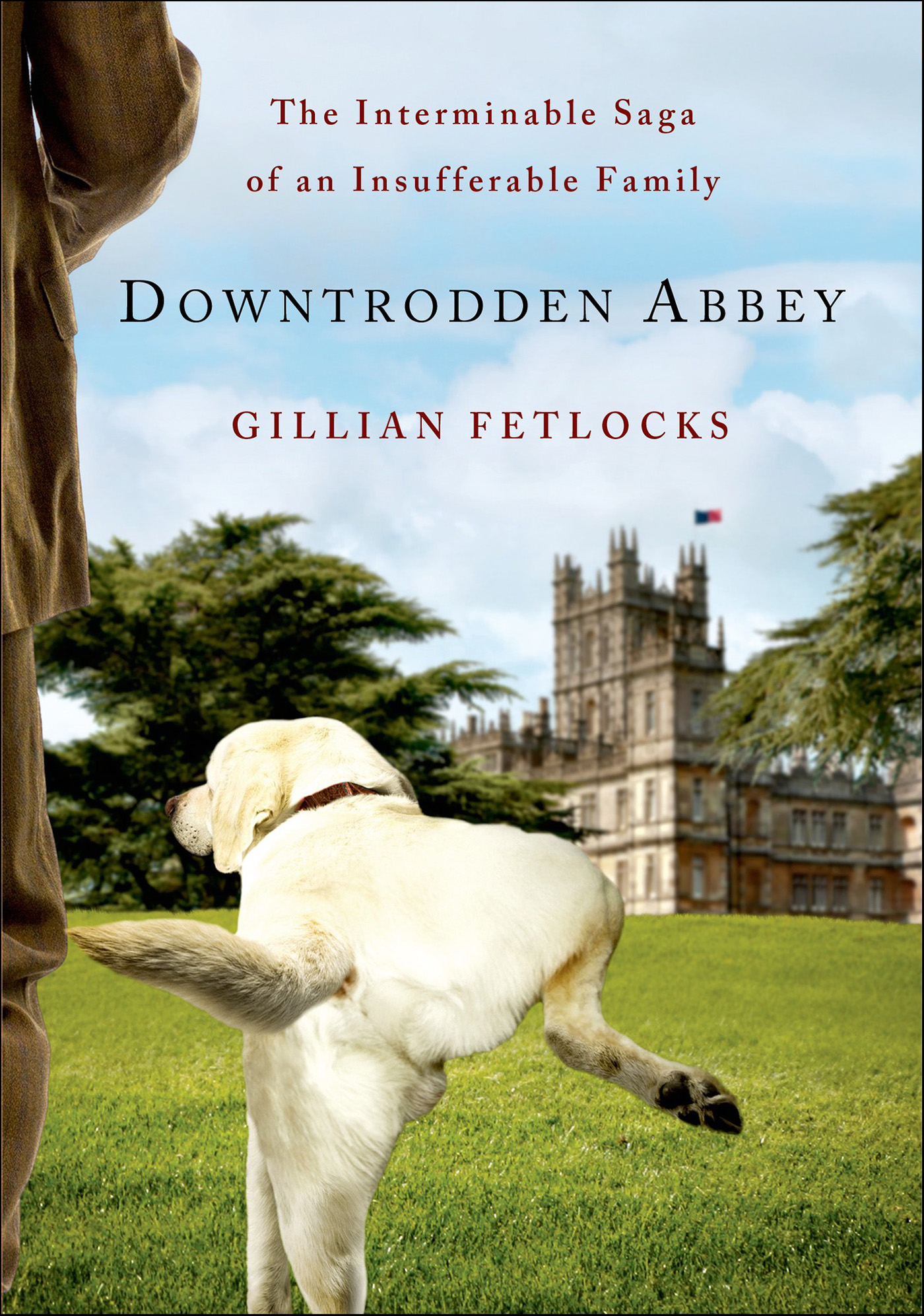 This image is the cover for the book Downtrodden Abbey