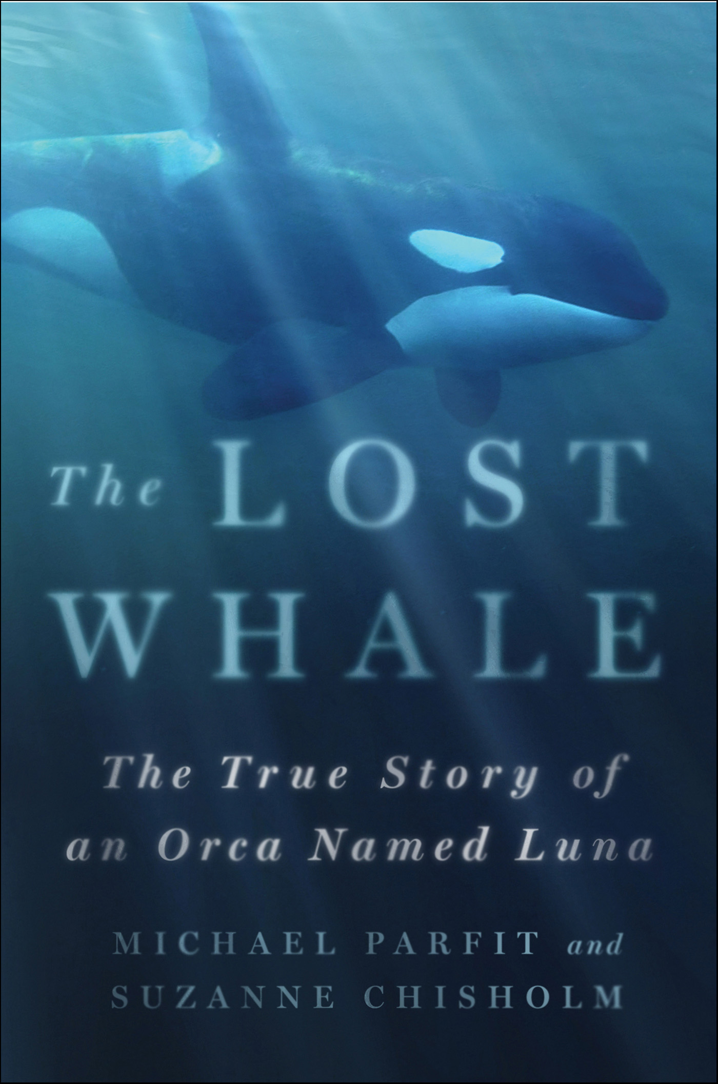 This image is the cover for the book Lost Whale
