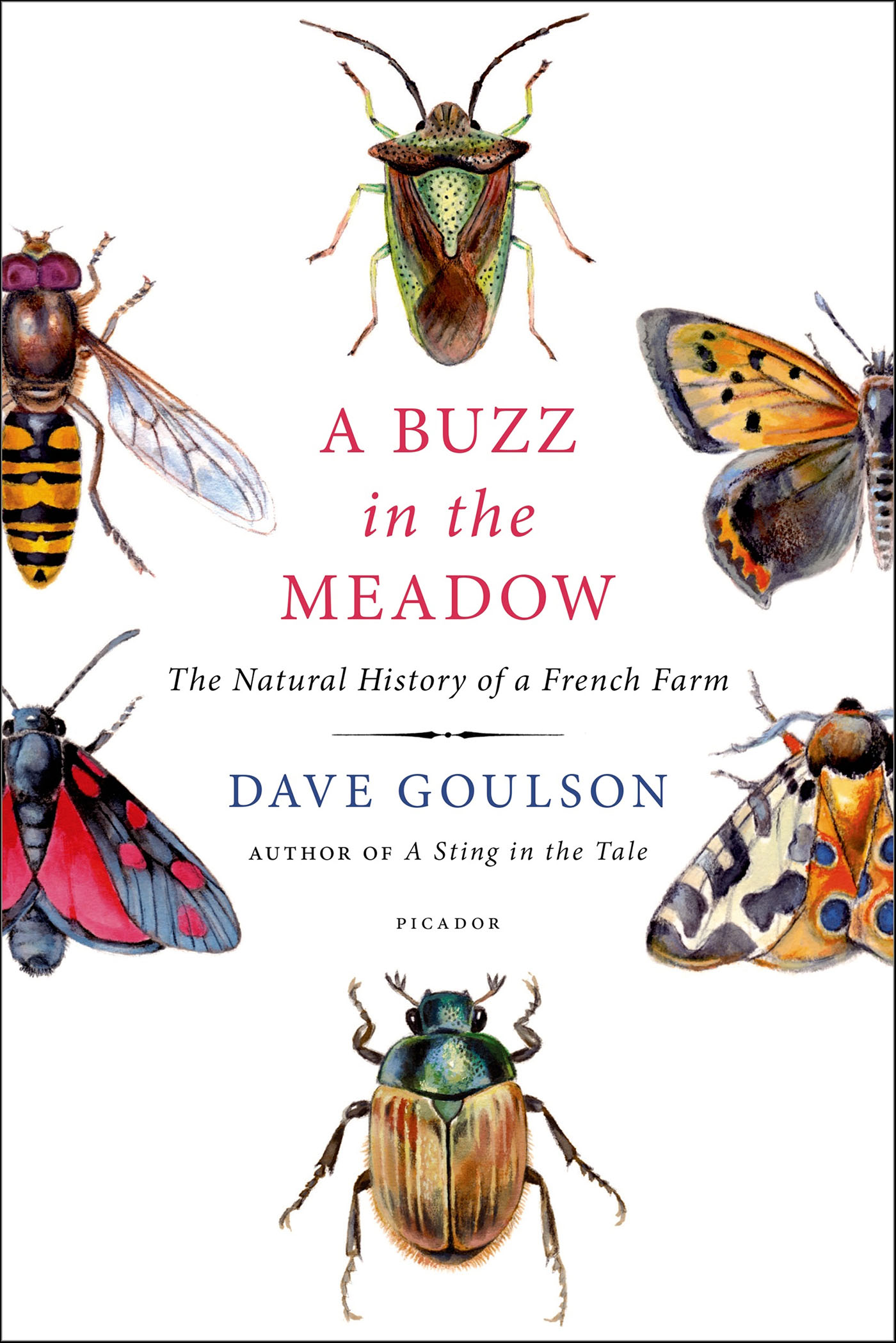 This image is the cover for the book Buzz in the Meadow
