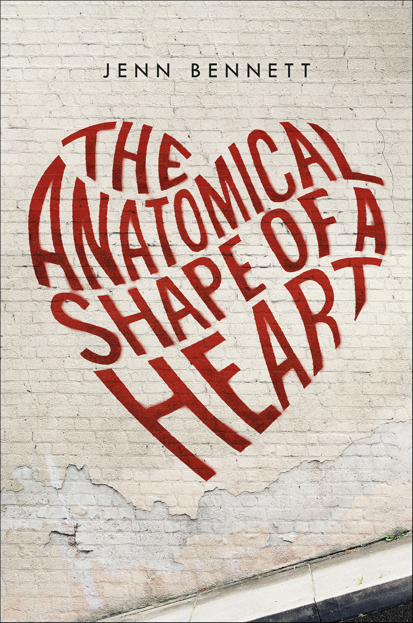 This image is the cover for the book Anatomical Shape of a Heart