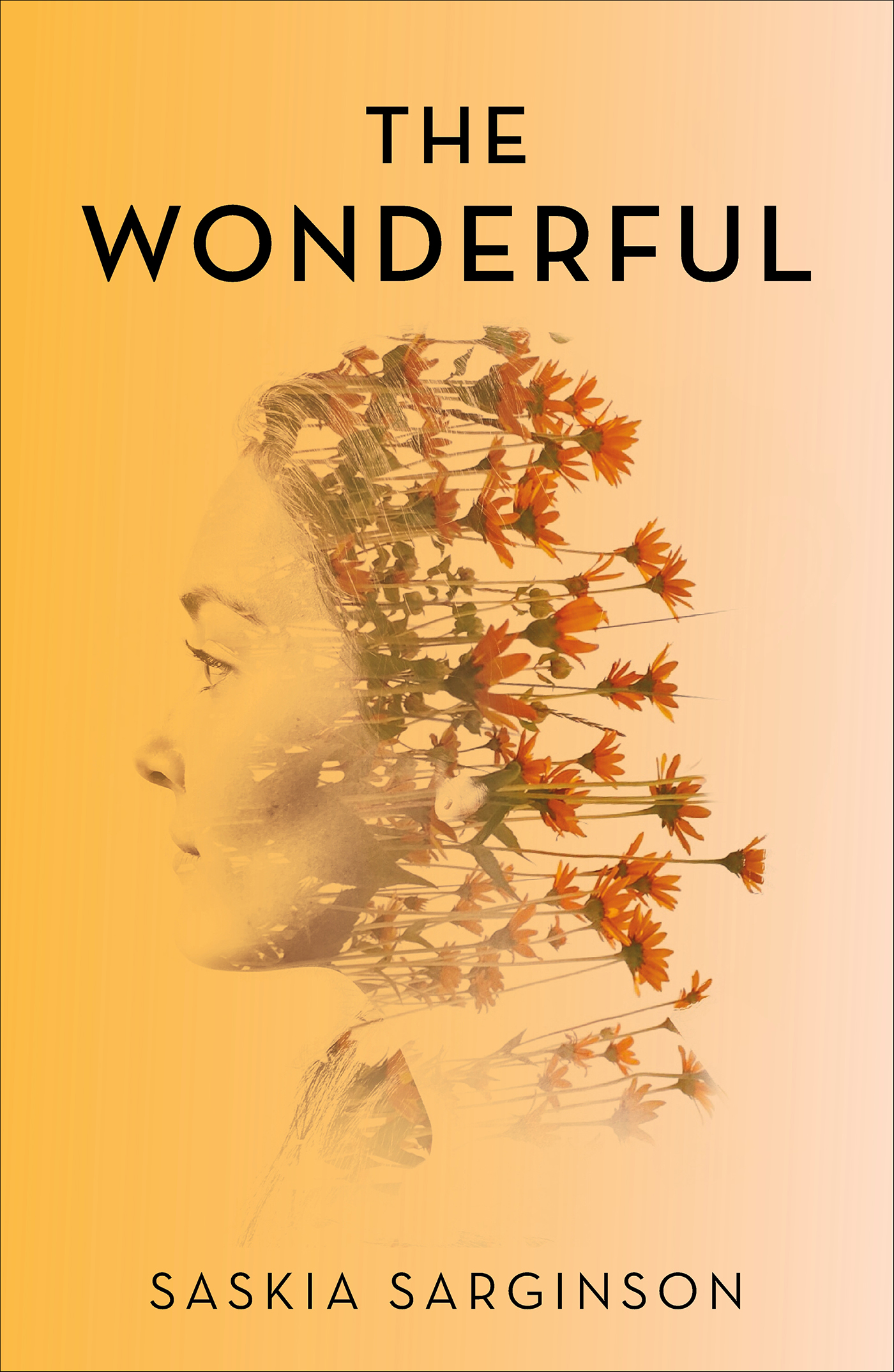 This image is the cover for the book Wonderful