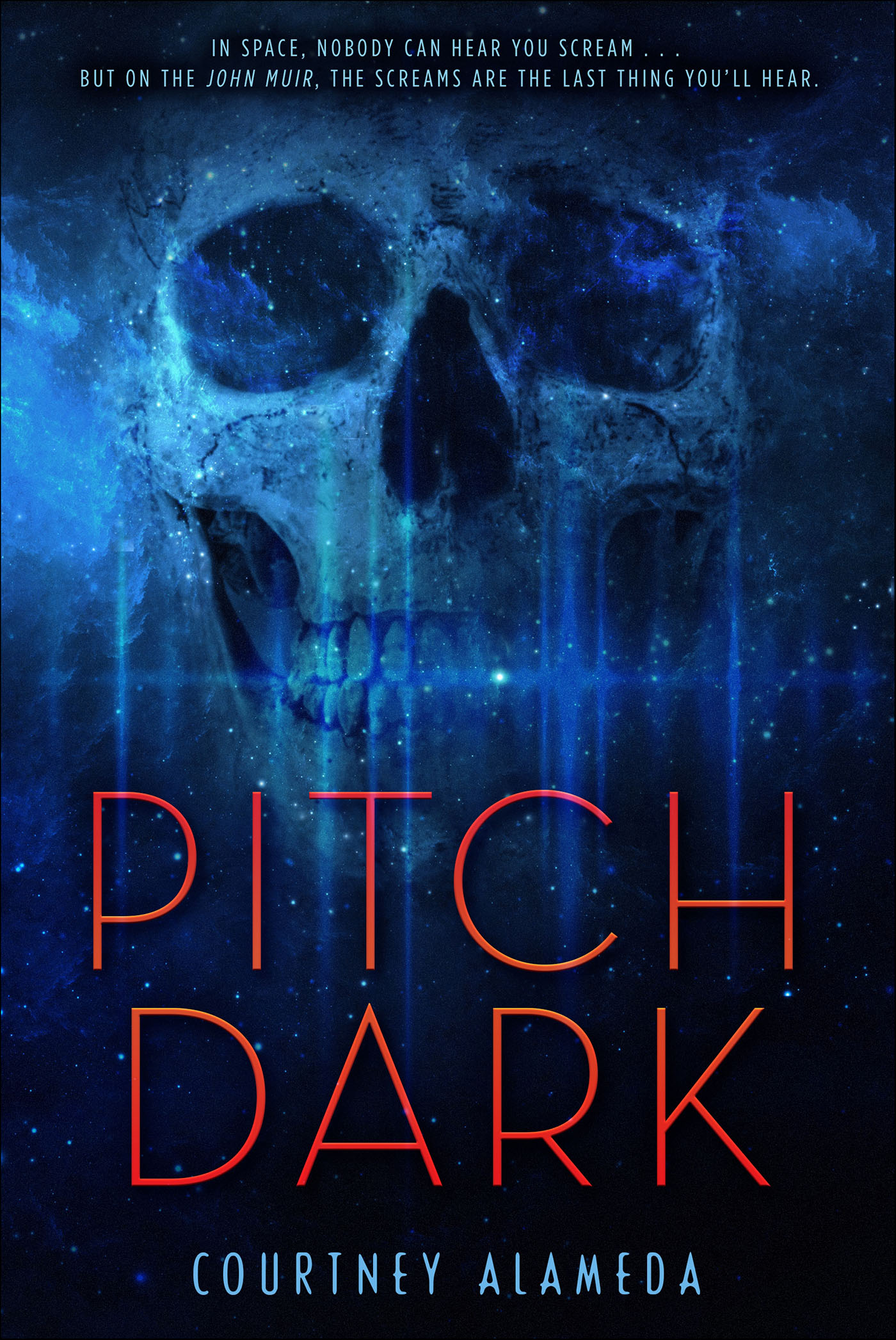 This image is the cover for the book Pitch Dark