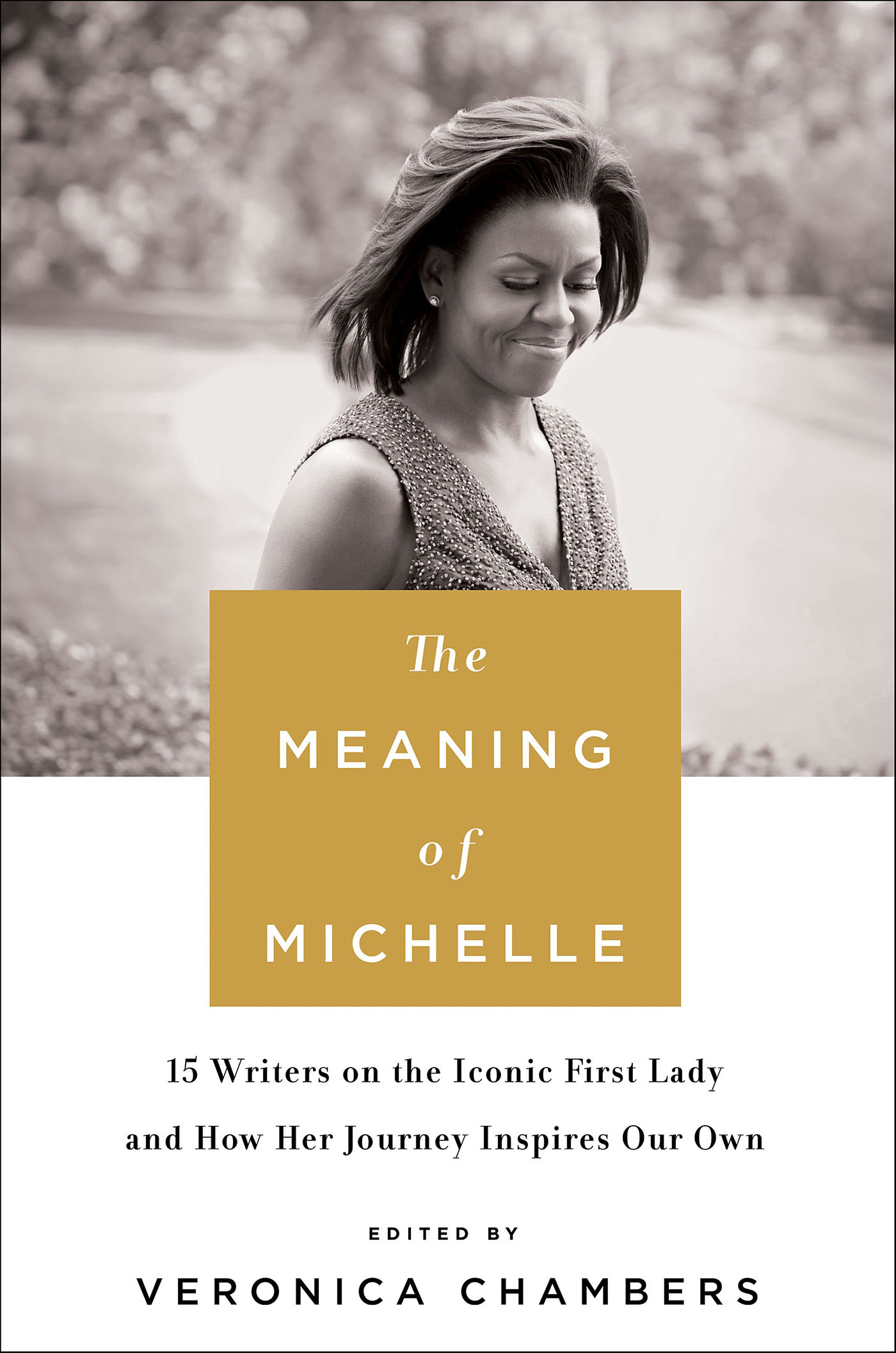 This image is the cover for the book Meaning of Michelle