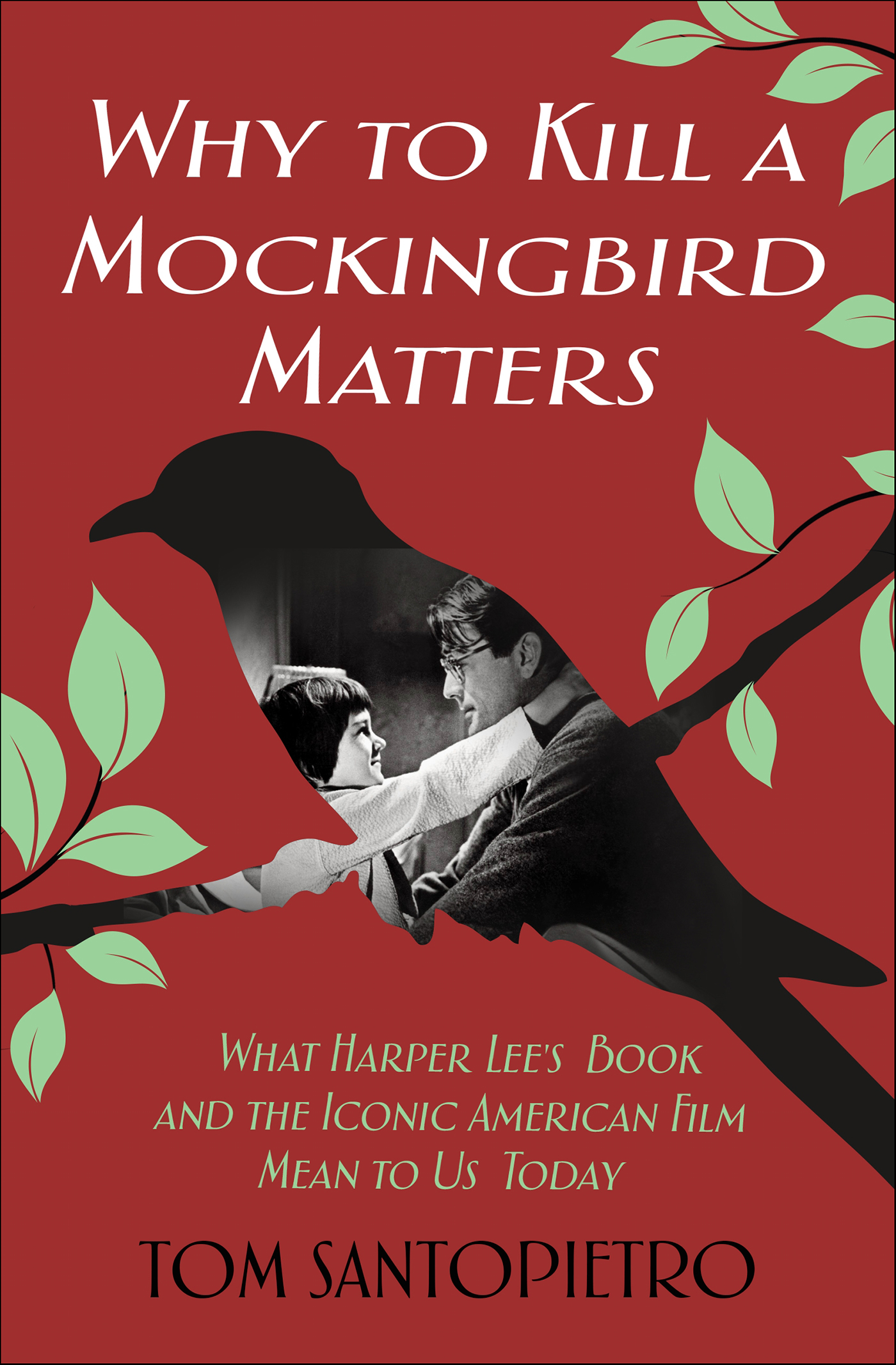 This image is the cover for the book Why to Kill a Mockingbird Matters