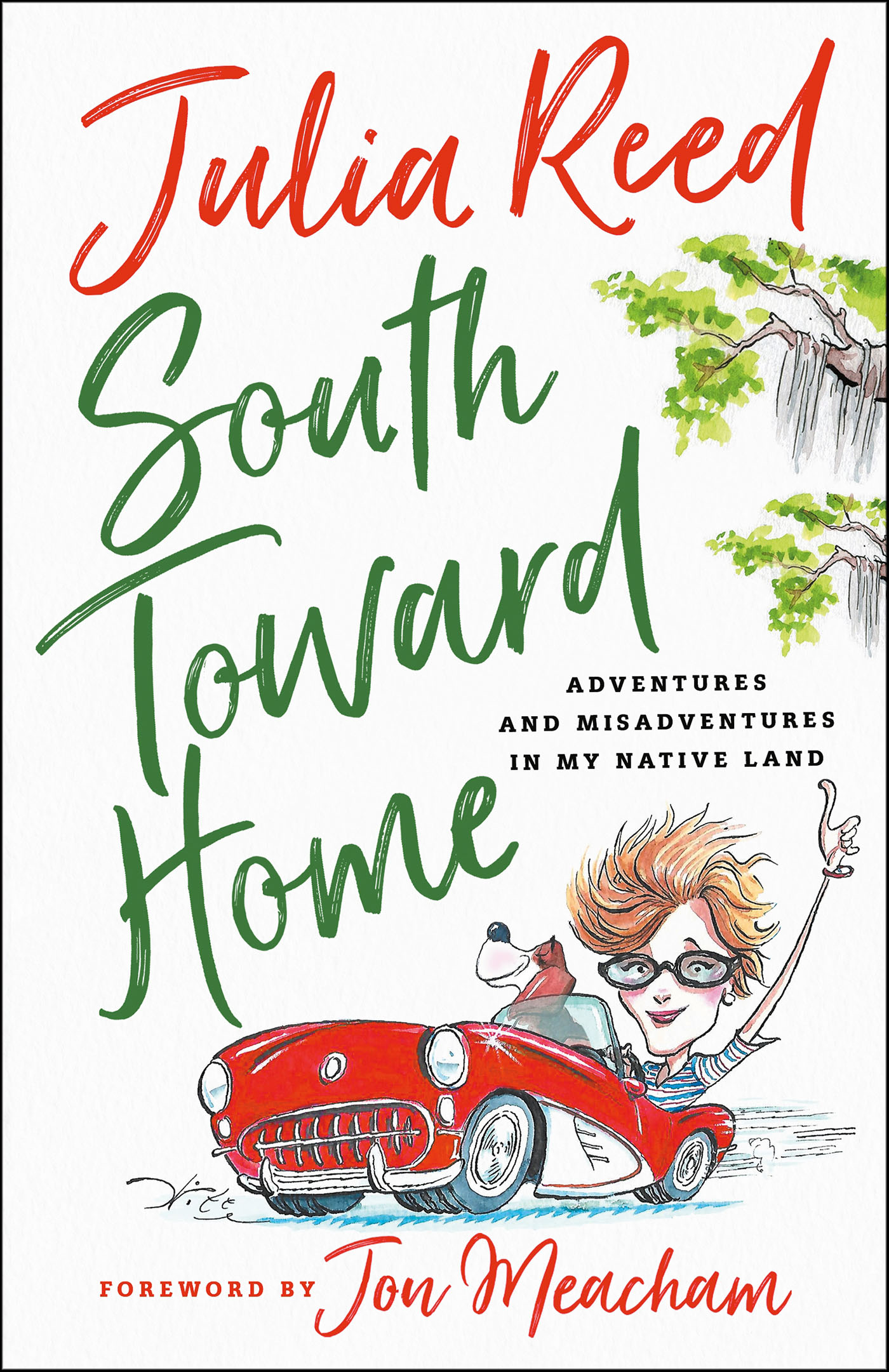 This image is the cover for the book South Toward Home