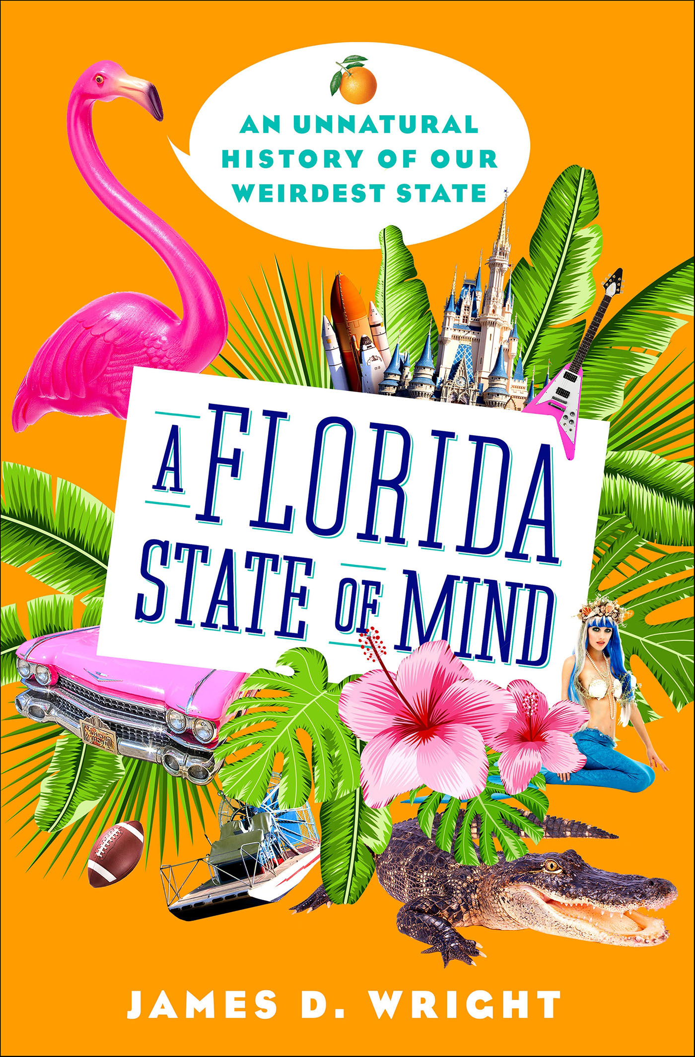 This image is the cover for the book Florida State of Mind