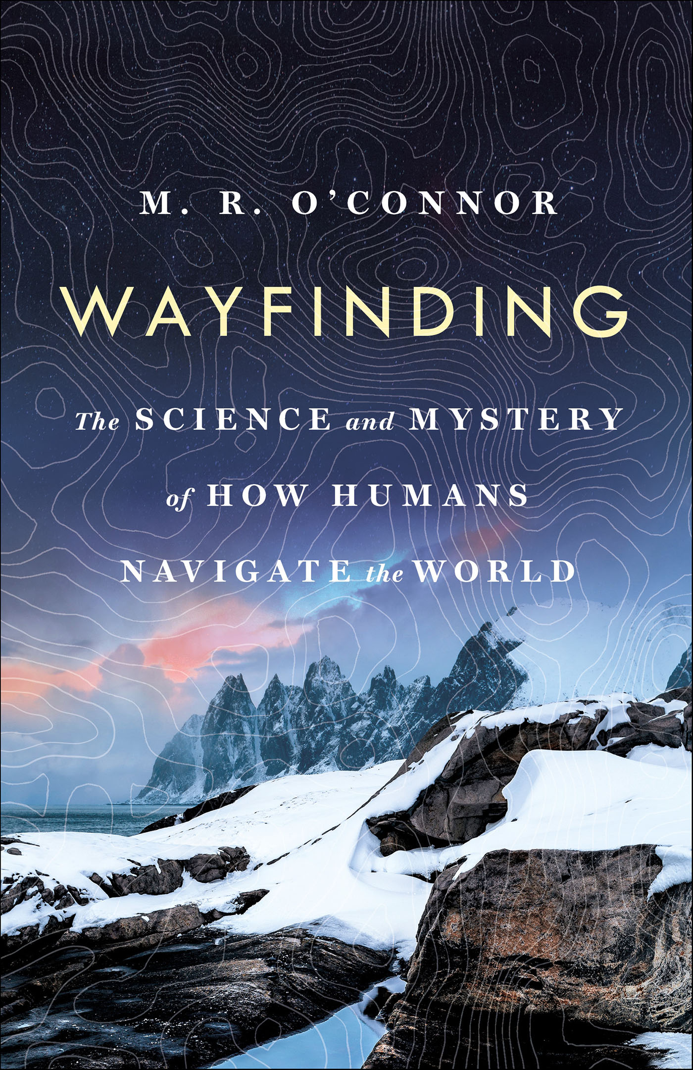 This image is the cover for the book Wayfinding