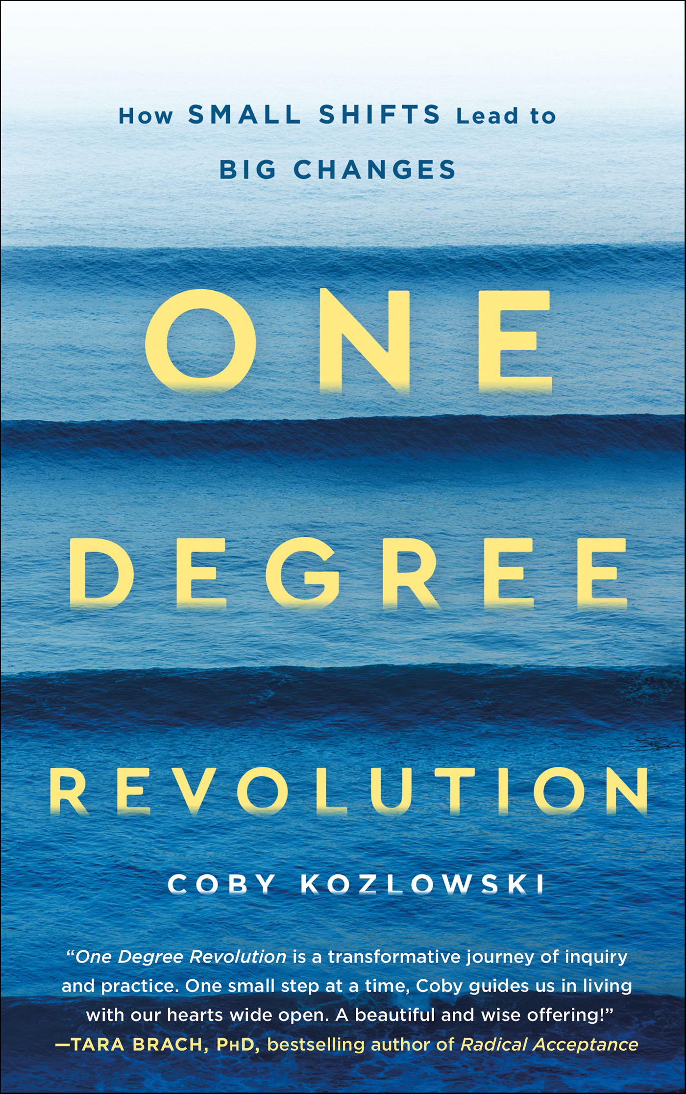 This image is the cover for the book One Degree Revolution