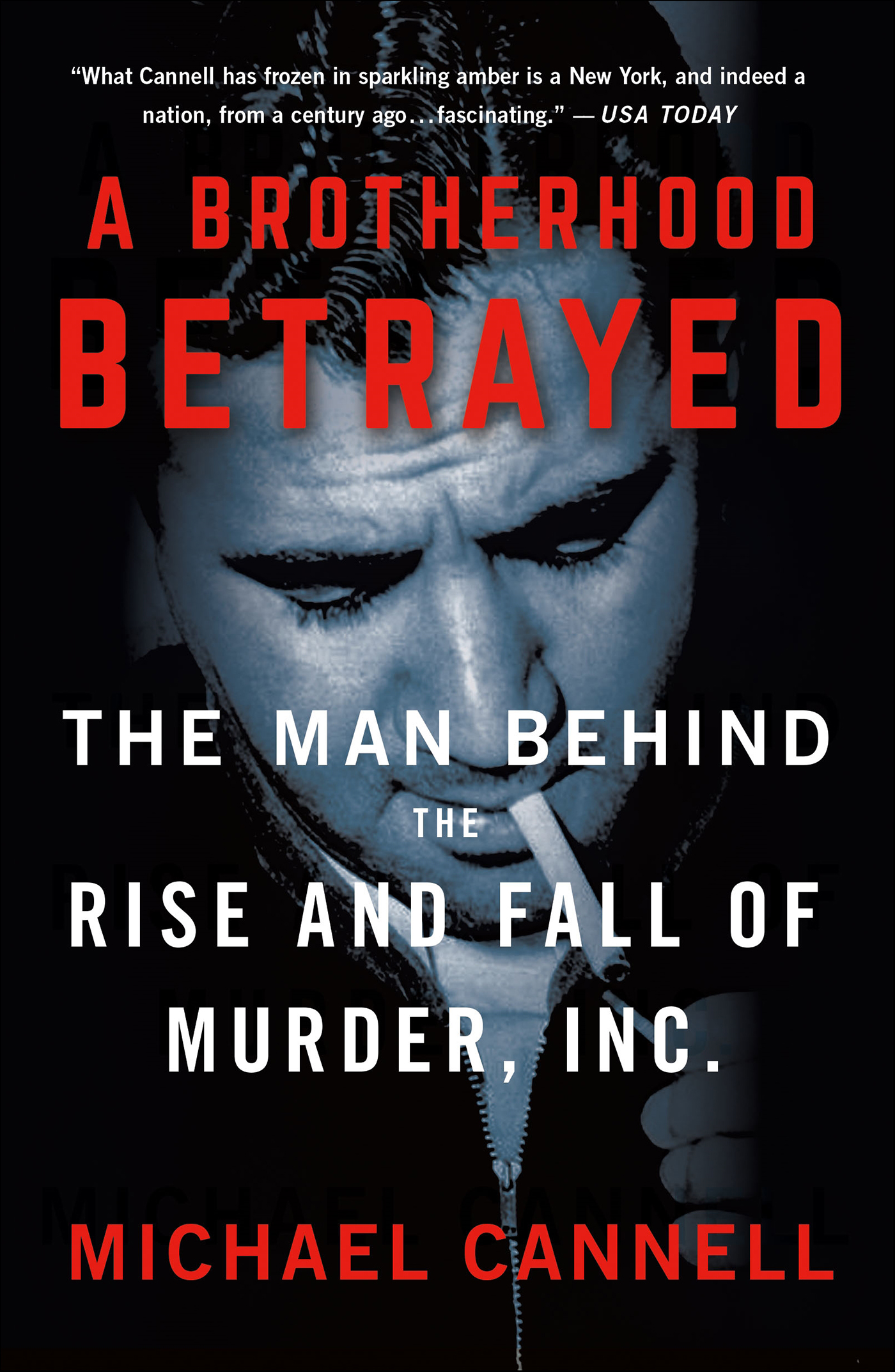 This image is the cover for the book Brotherhood Betrayed