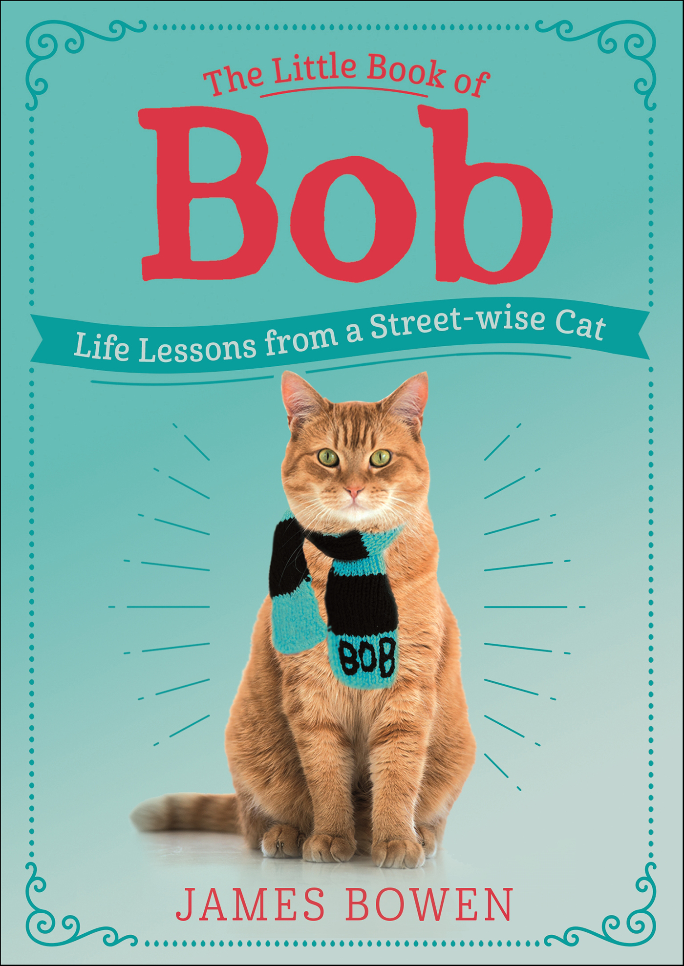 This image is the cover for the book Little Book of Bob